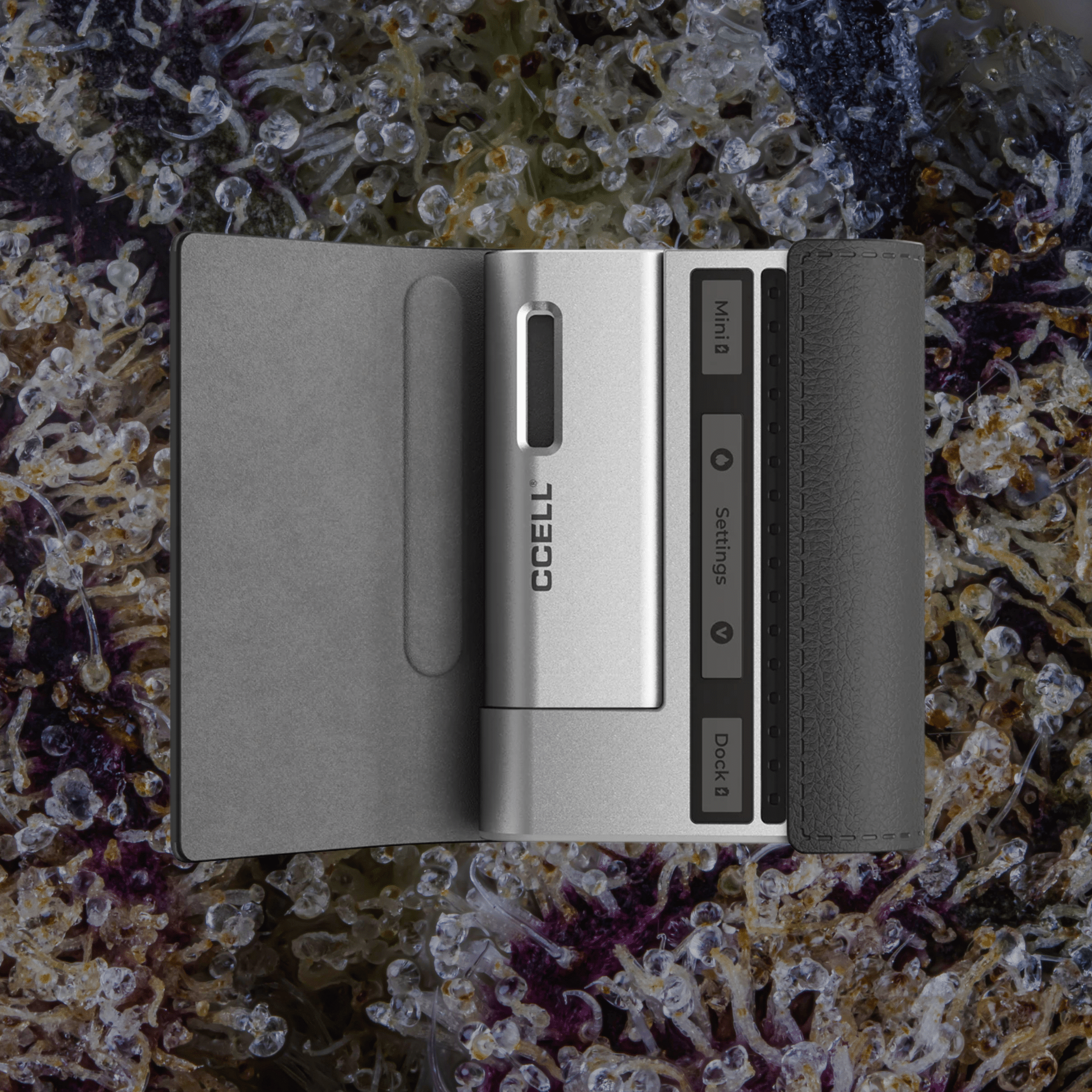 CCELL Fino Obsidian/Platinum | Trichly