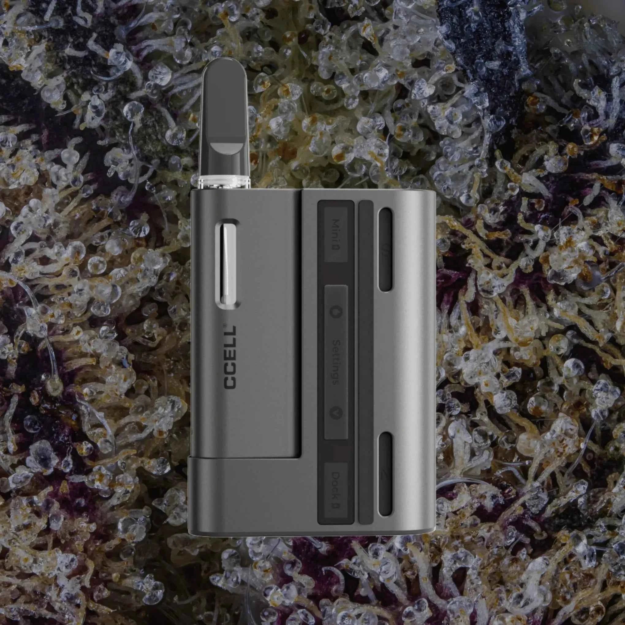 CCELL Fino Obsidian/Platinum | Trichly