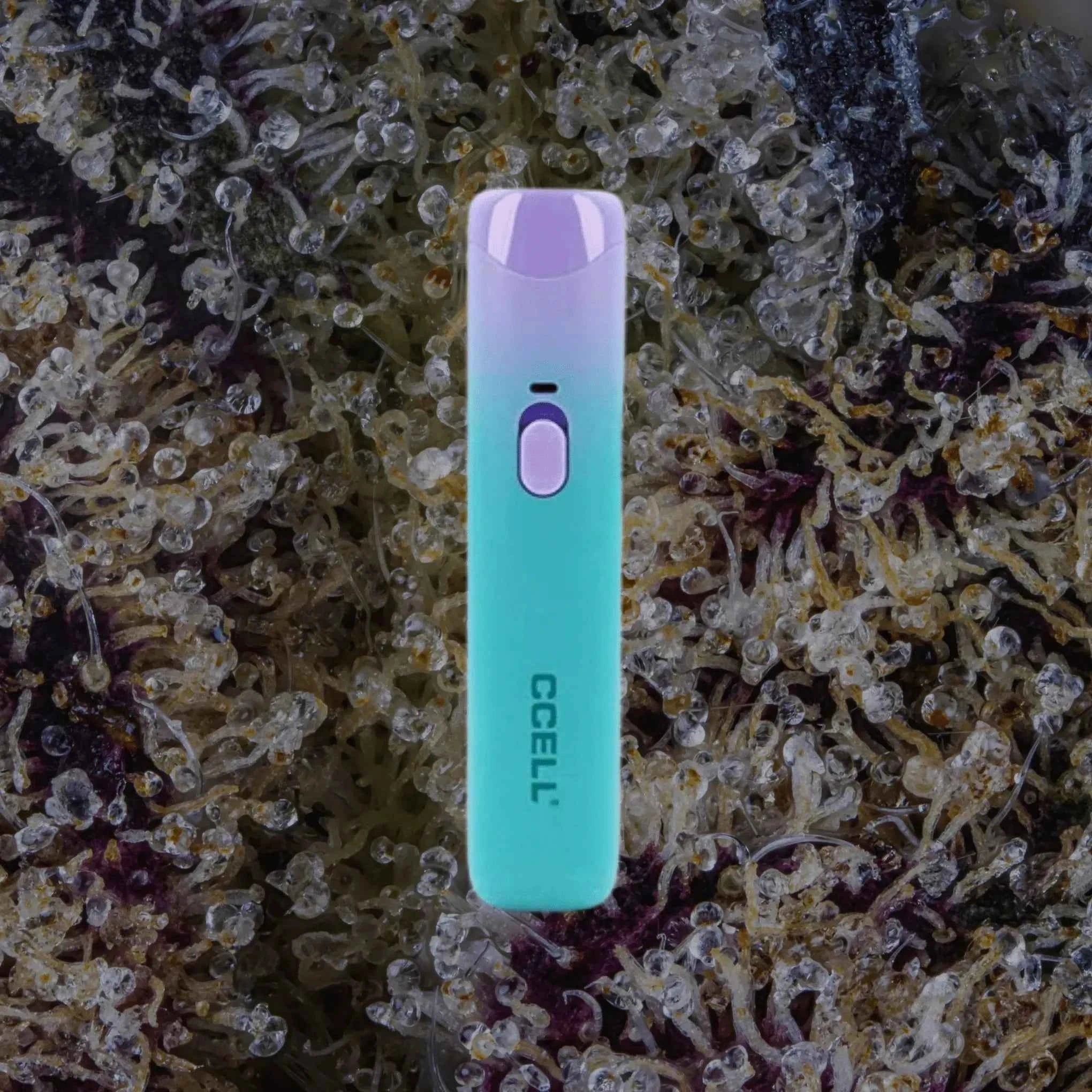 CCELL Go Stick Electric Blue | Trichly