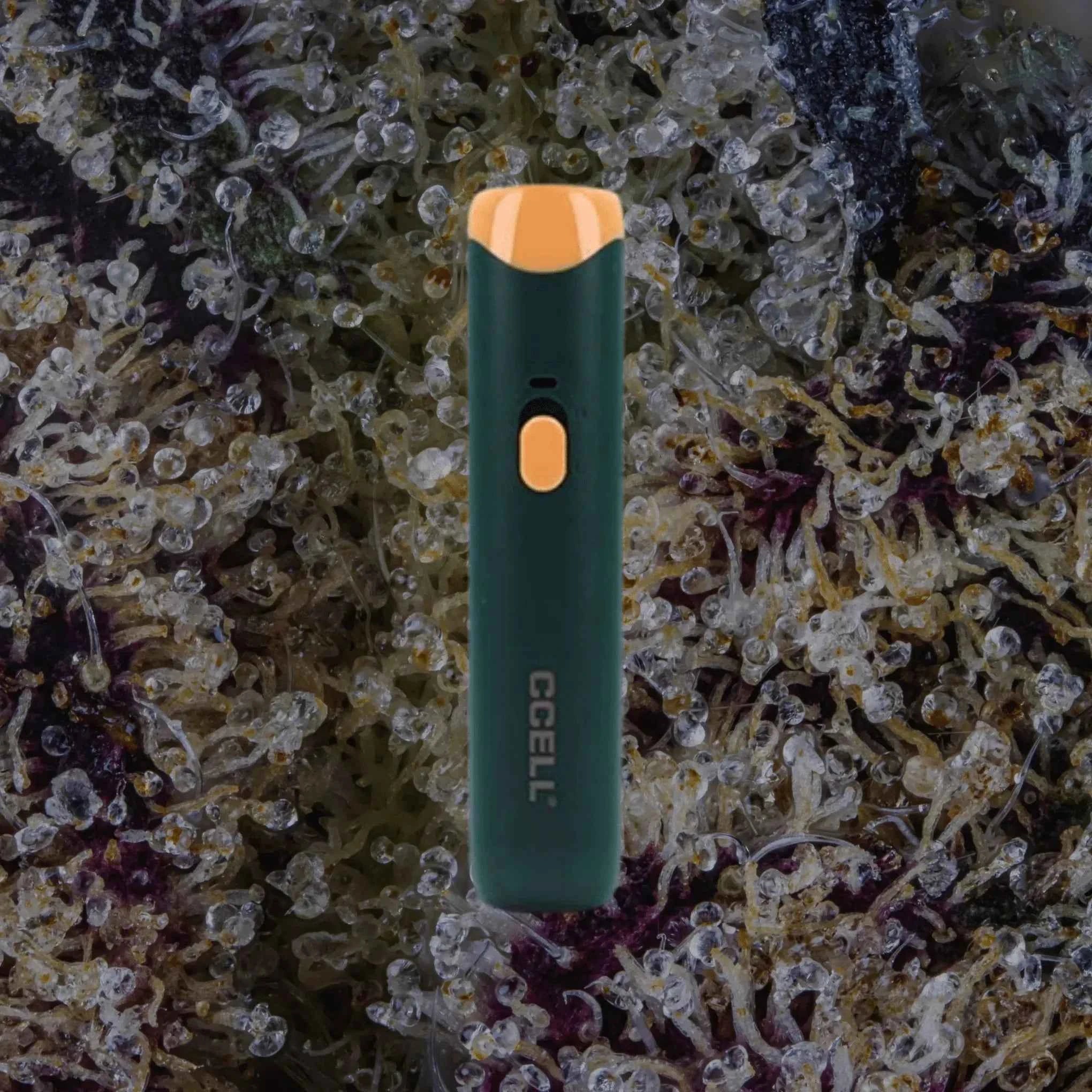 CCELL Go Stick Sunrise Green | Trichly
