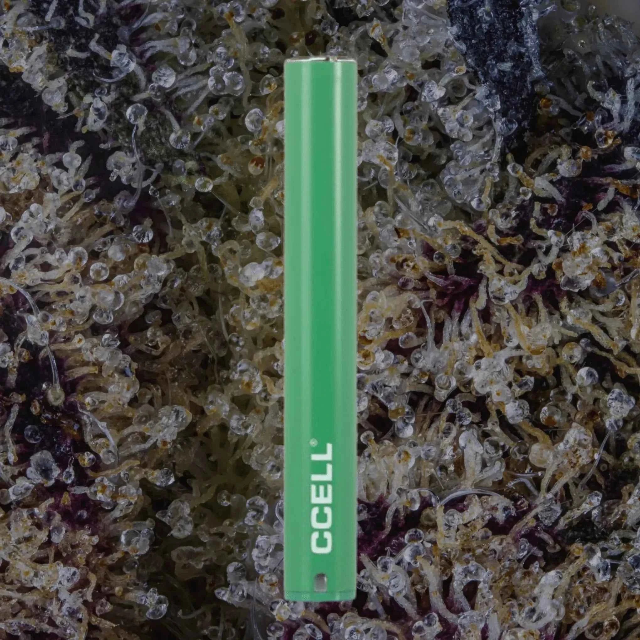 CCELL M3 Plus Green | Trichly