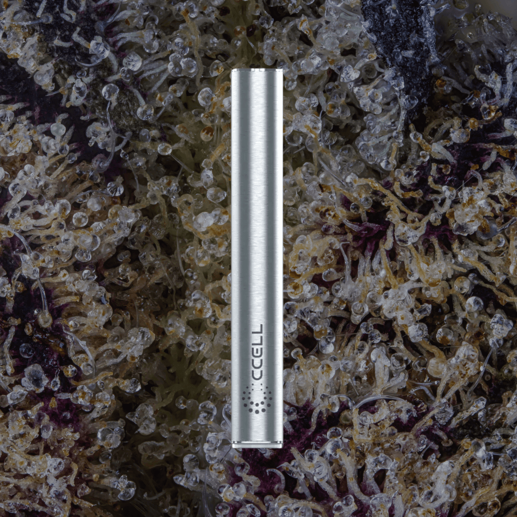 CCELL M4 Stainless Steel | Trichly