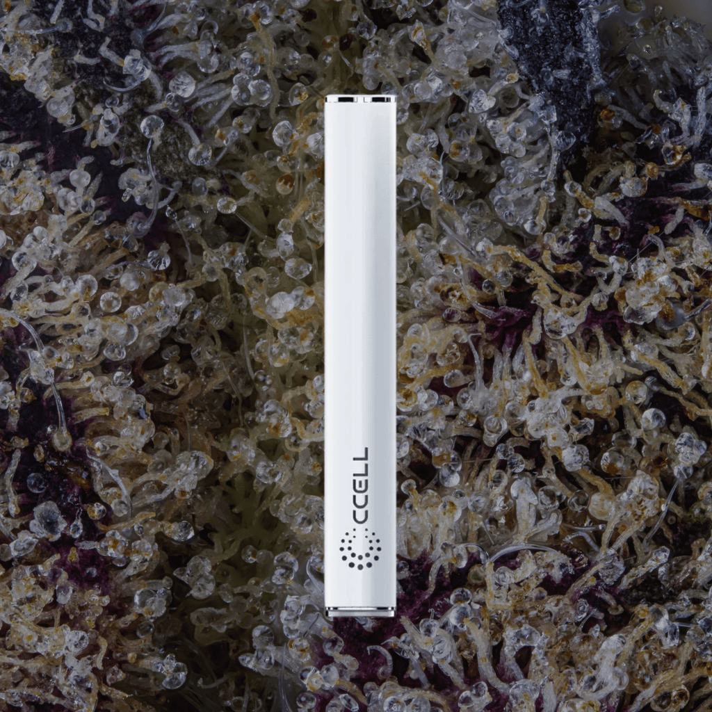 CCELL M4 White | Trichly