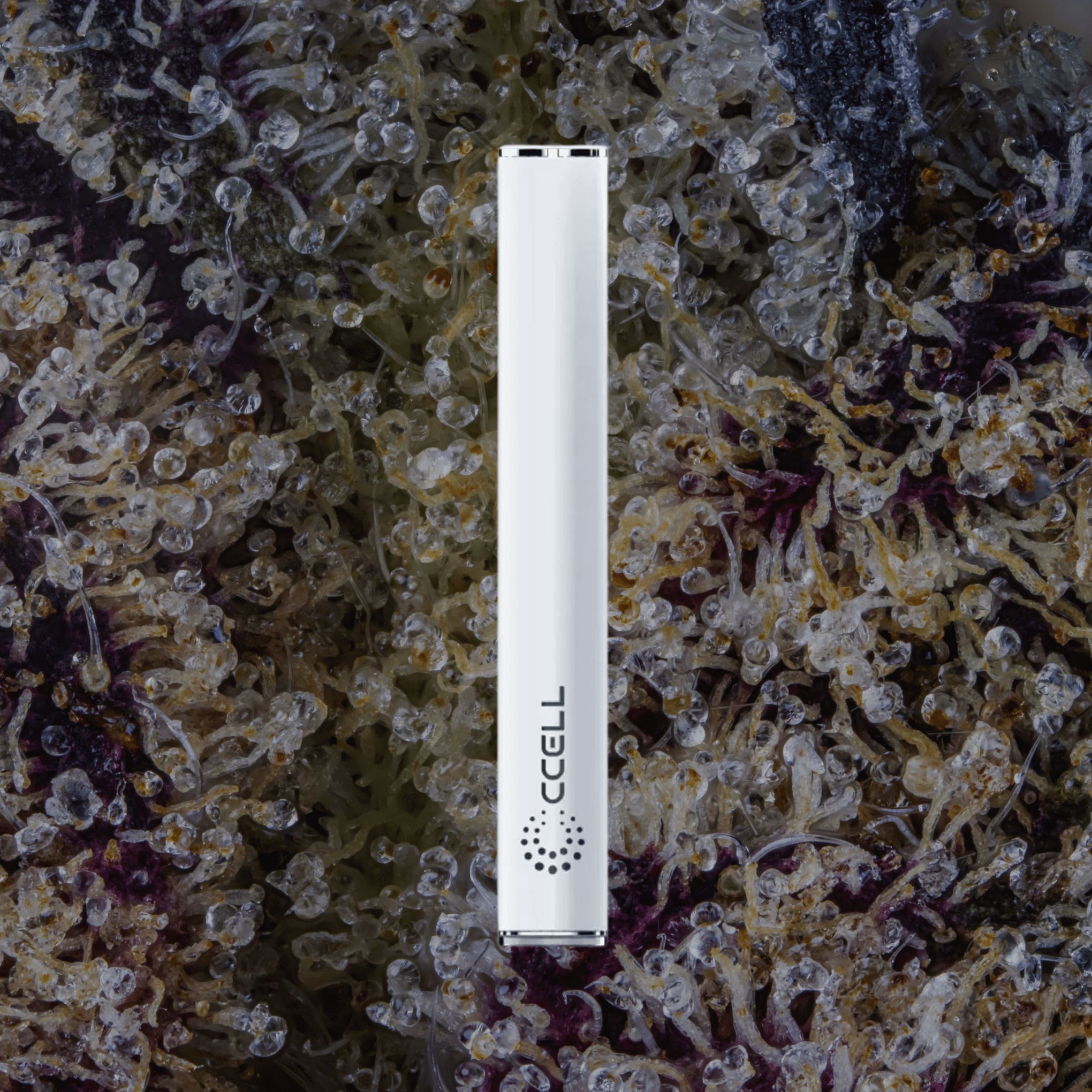 CCELL M4 White | Trichly