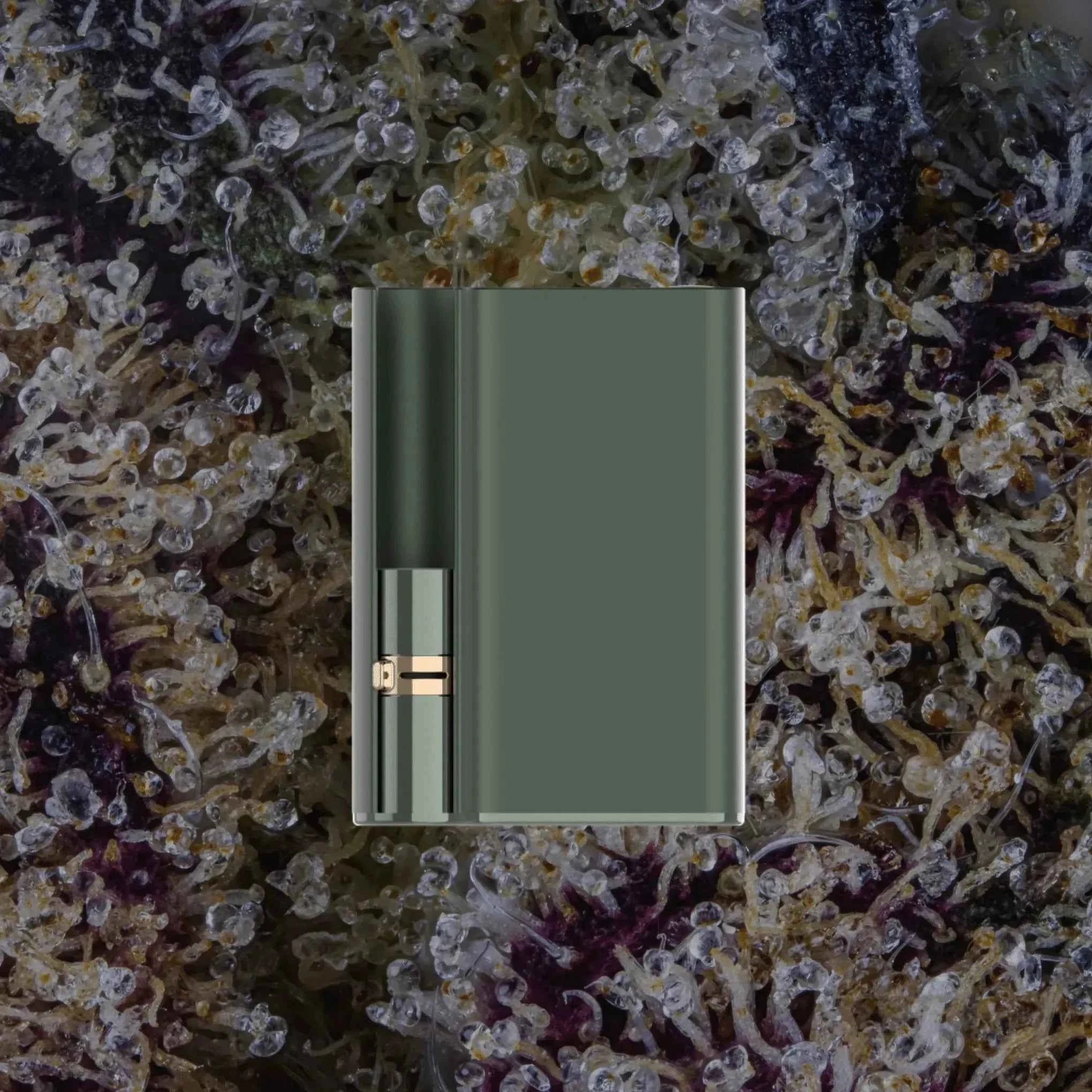 CCELL Palm Pro Green | Trichly