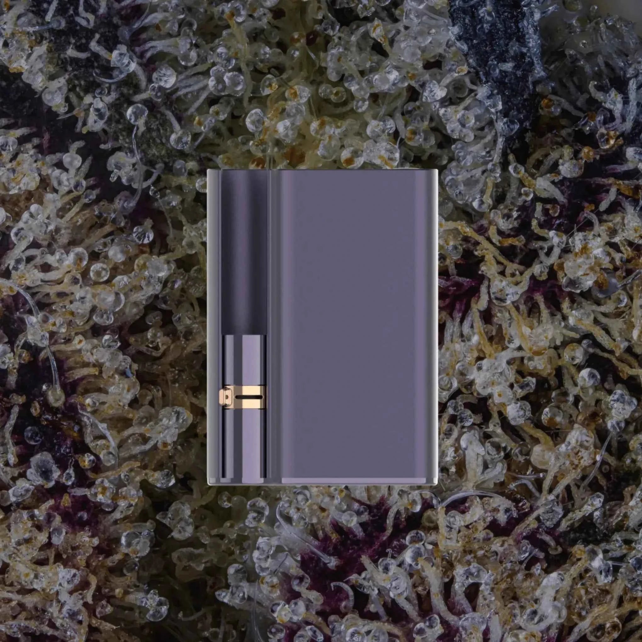 CCELL Palm Pro Purple | Trichly