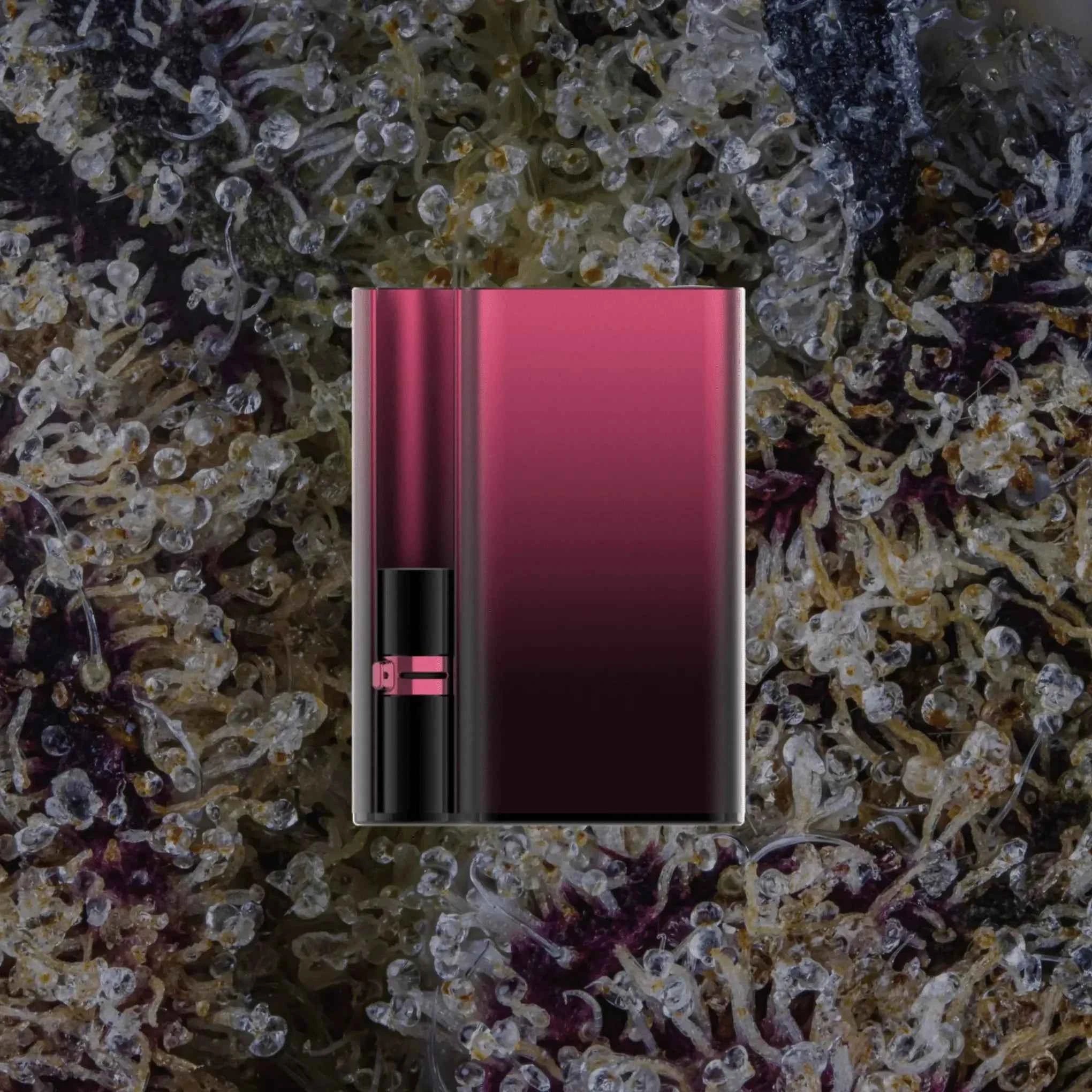 CCELL Palm Pro Royal Ruby | Trichly