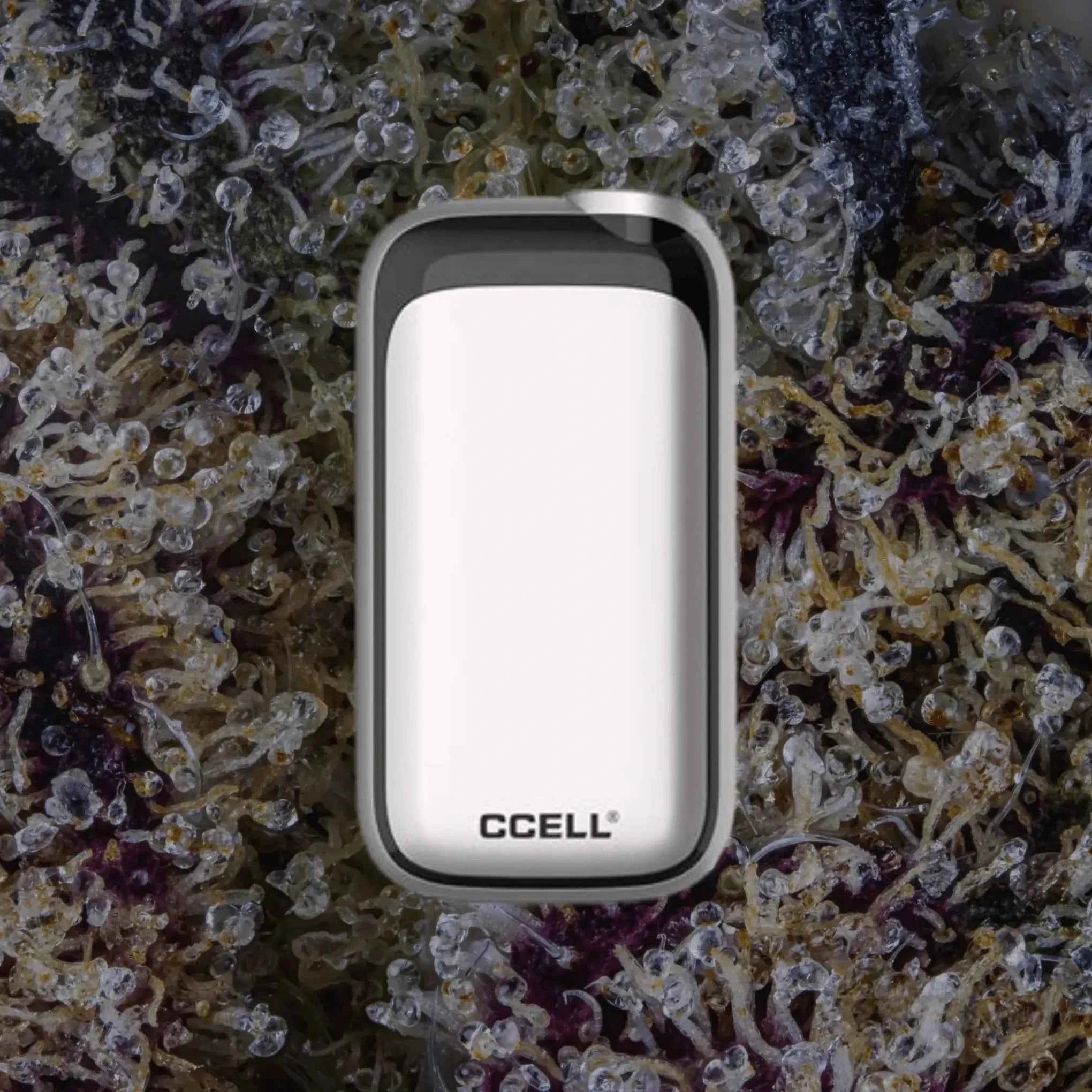 CCELL Rizo Silver | Trichly