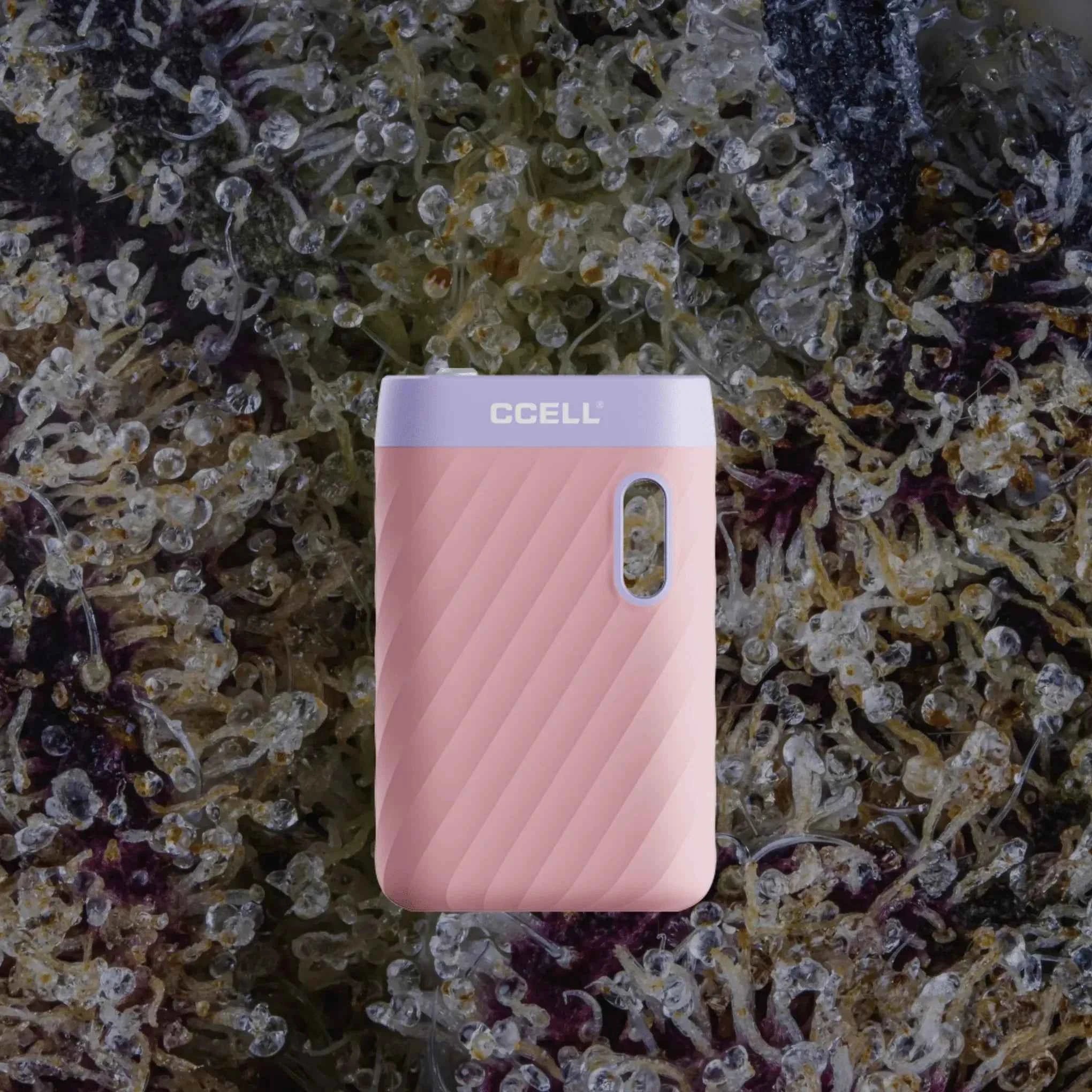 CCELL Sandwave Coral Pink | Trichly