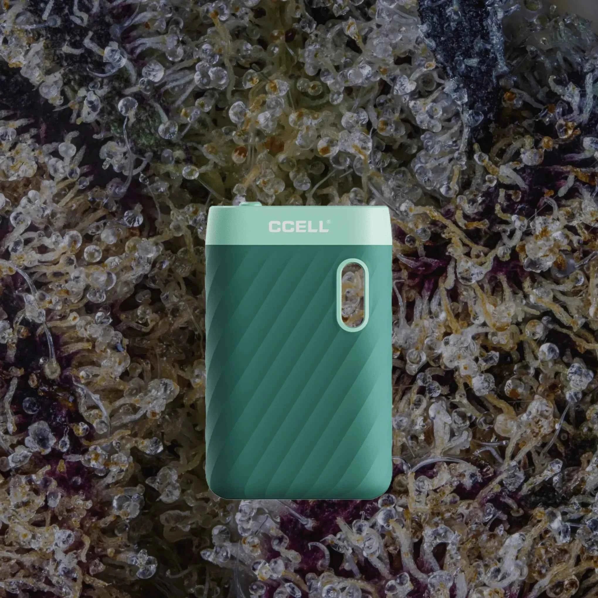 CCELL Sandwave Marine Green | Trichly