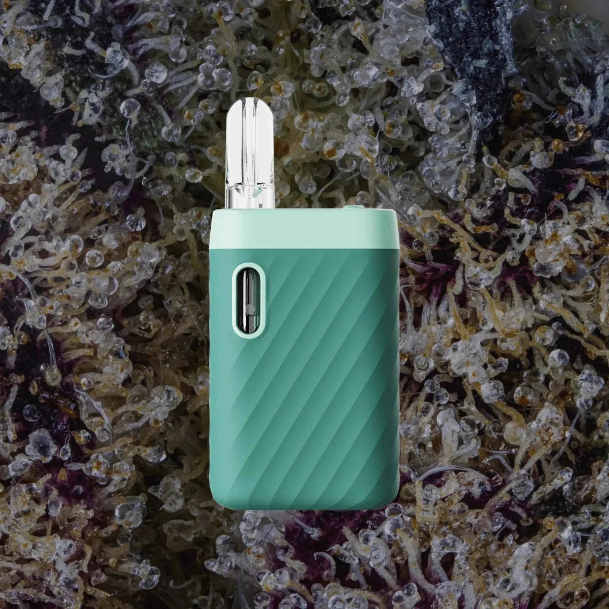 CCELL Sandwave Marine Green | Trichly