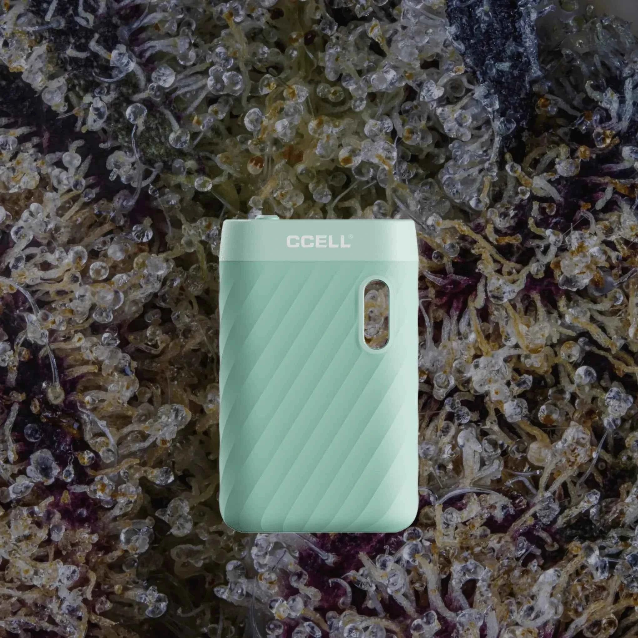 CCELL Sandwave Mint Green | Trichly