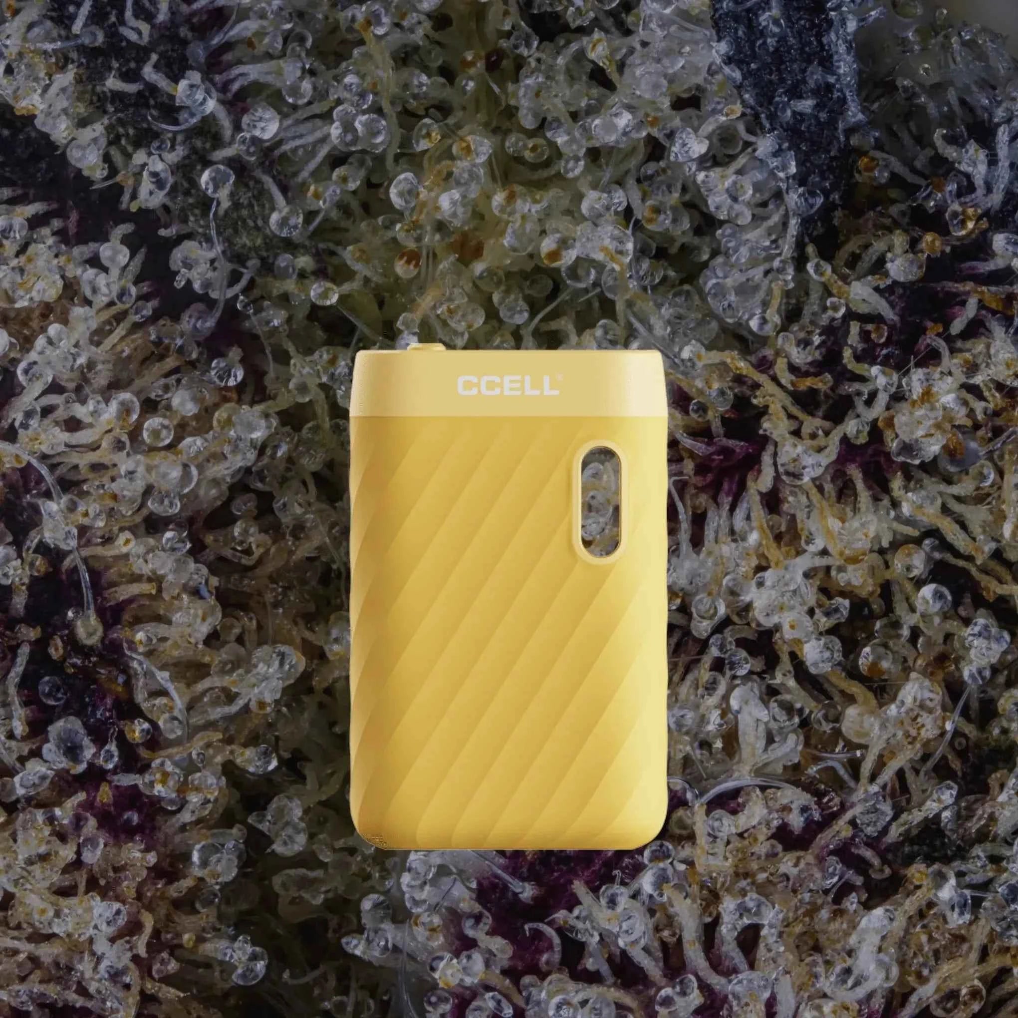 CCELL Sandwave Tropical Yellow | Trichly