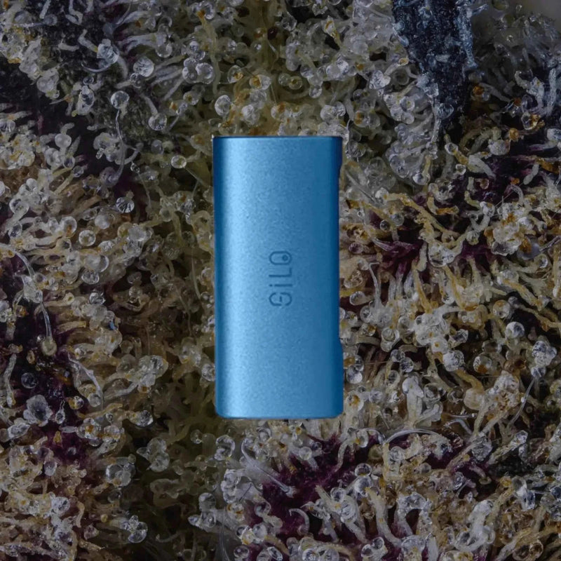 CCELL Silo Baby Blue | Trichly