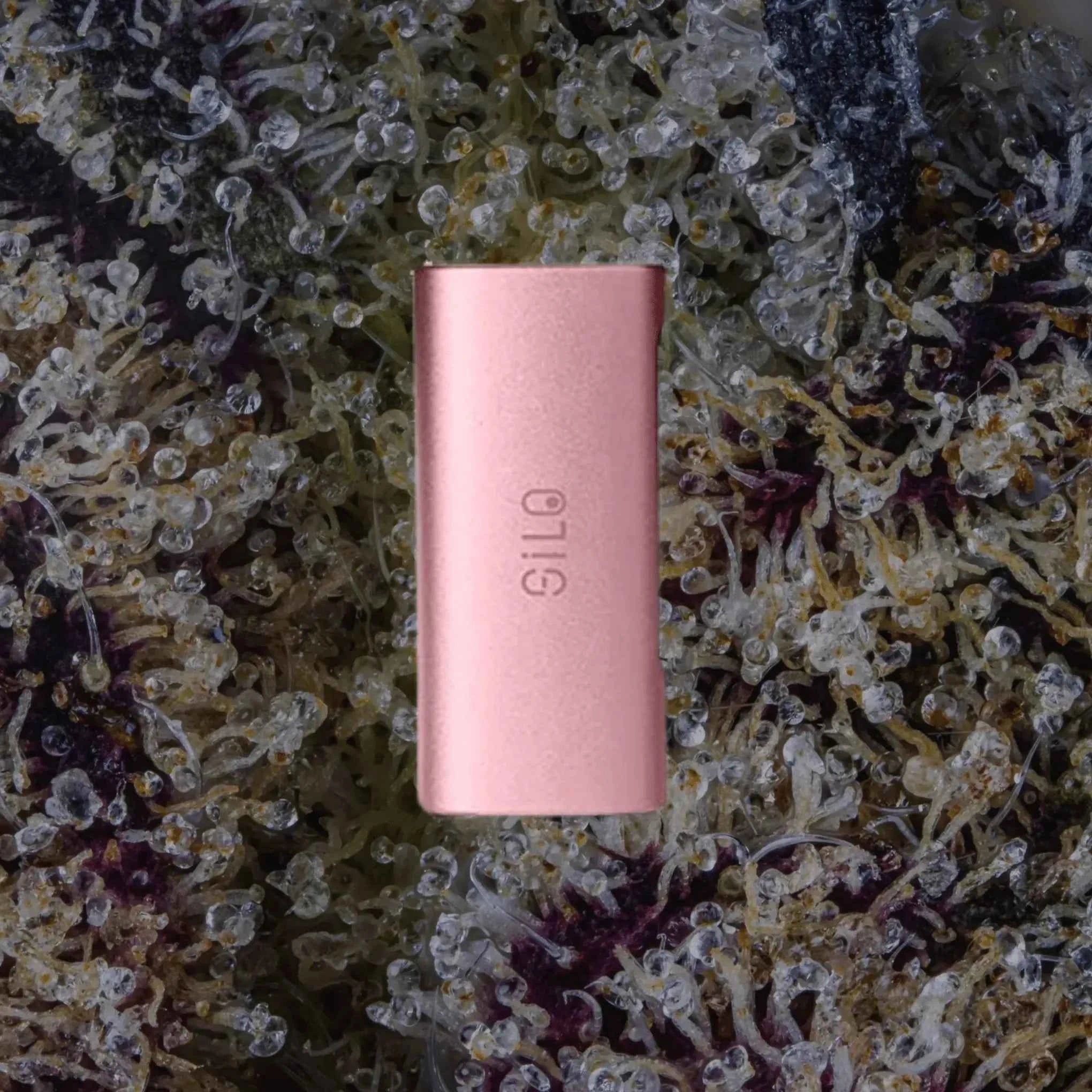 CCELL Silo Pink | Trichly