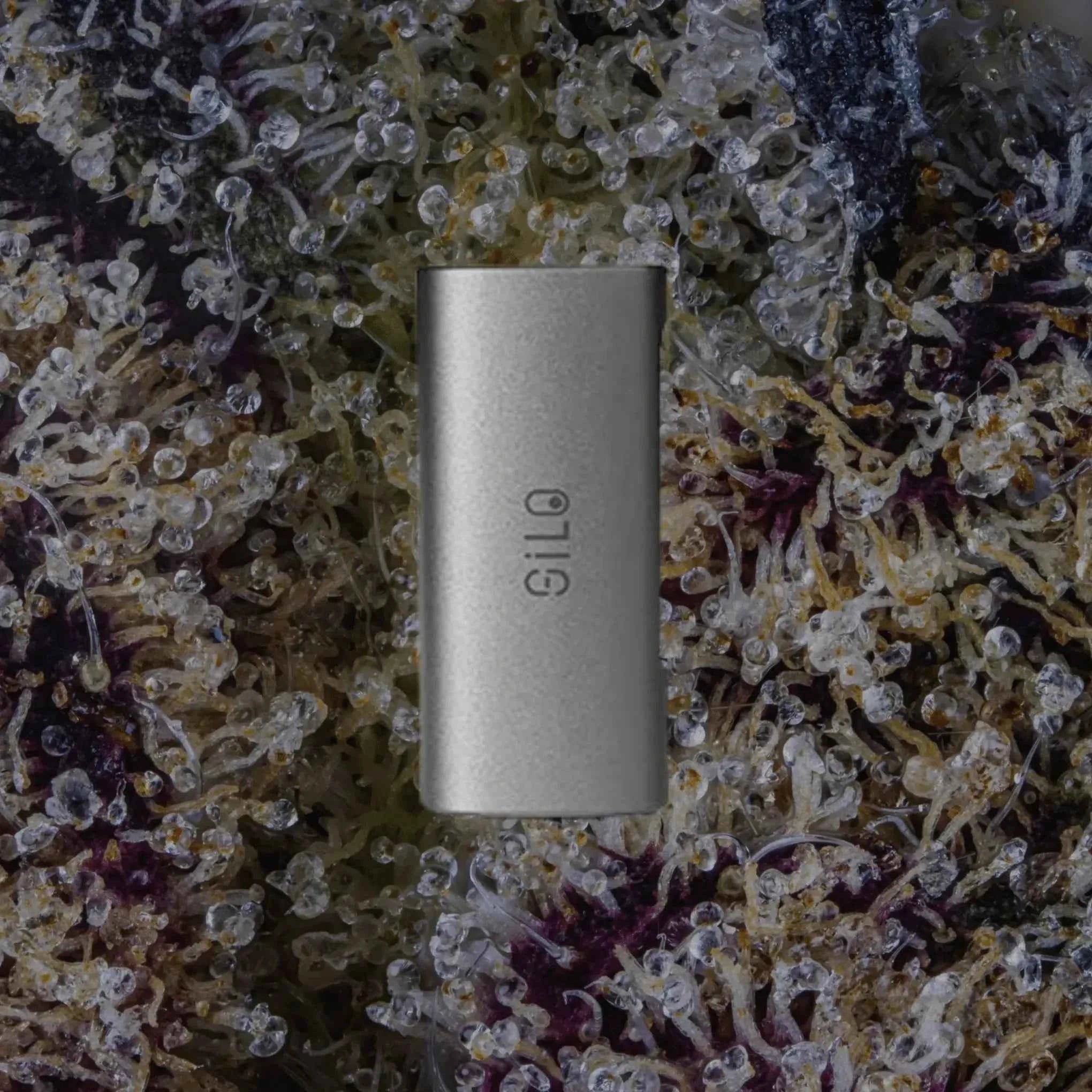 CCELL Silo Silver | Trichly