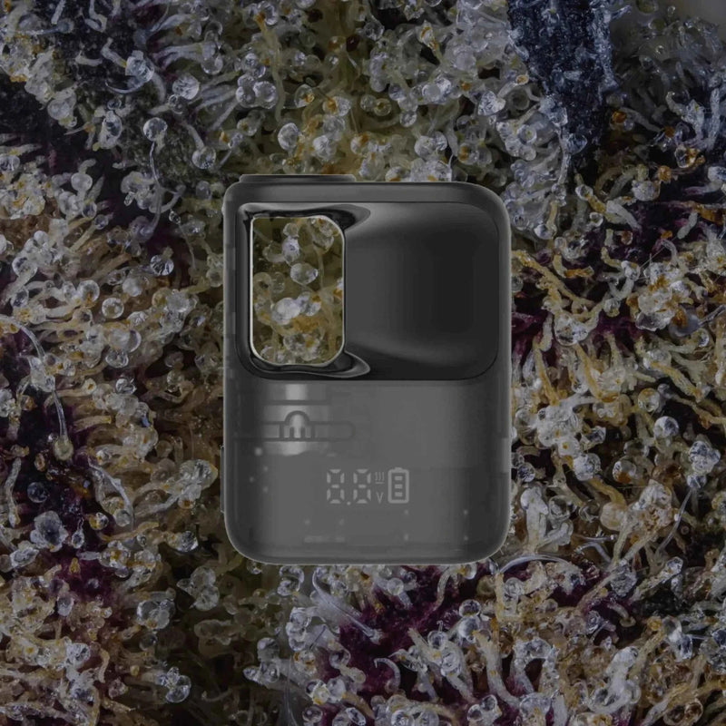 CCELL Stylo Black | Trichly