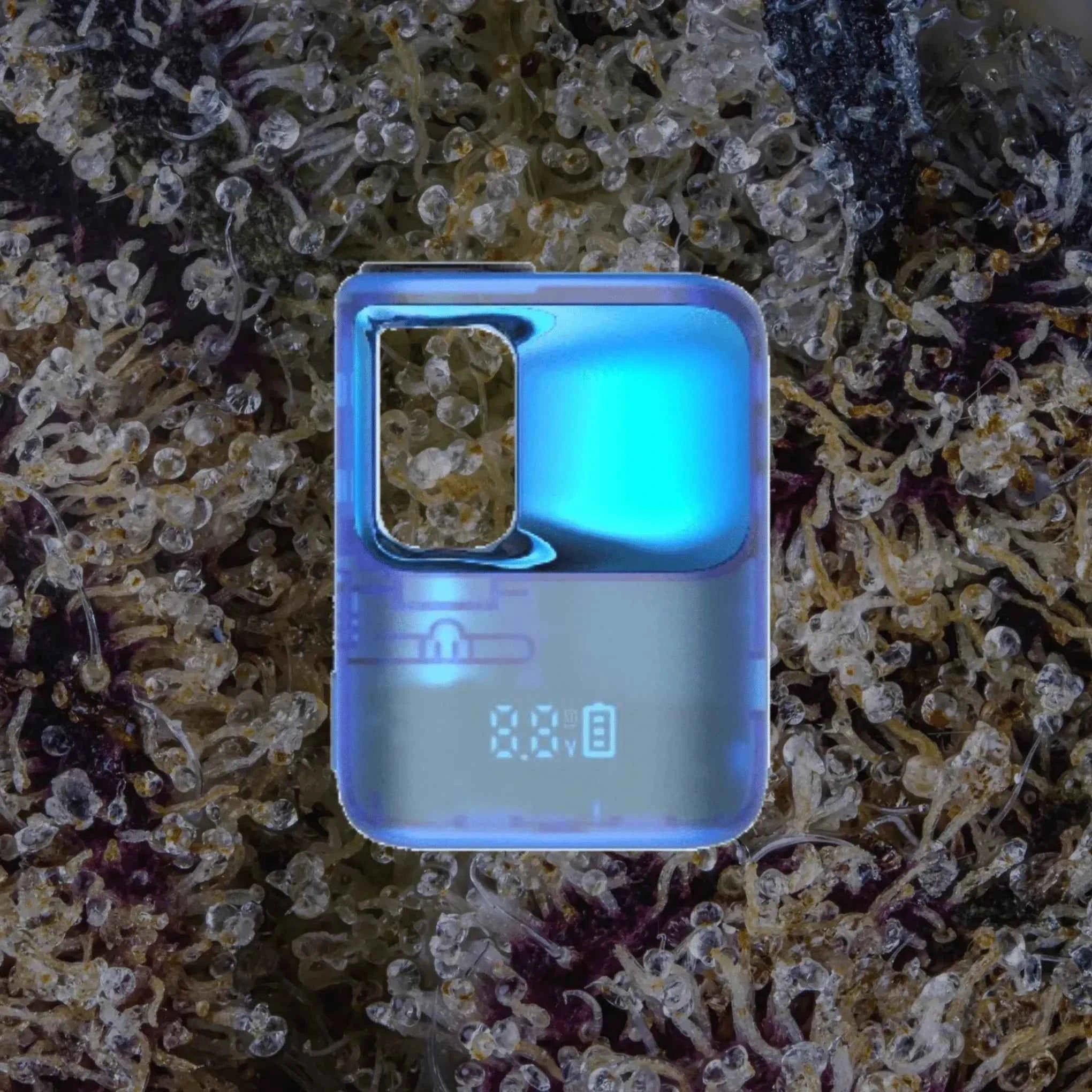 CCELL Stylo Blue | Trichly