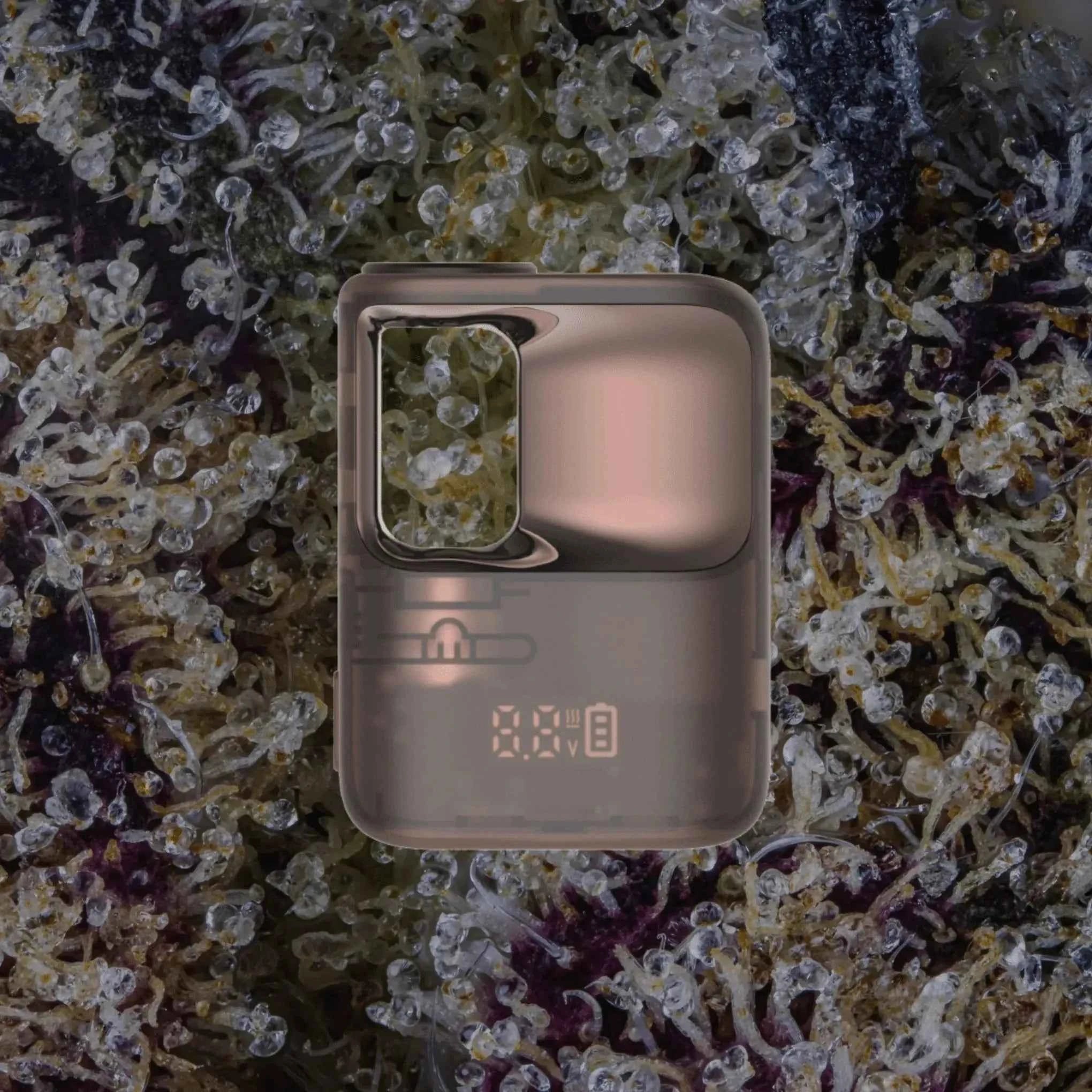 CCELL Stylo Brown | Trichly