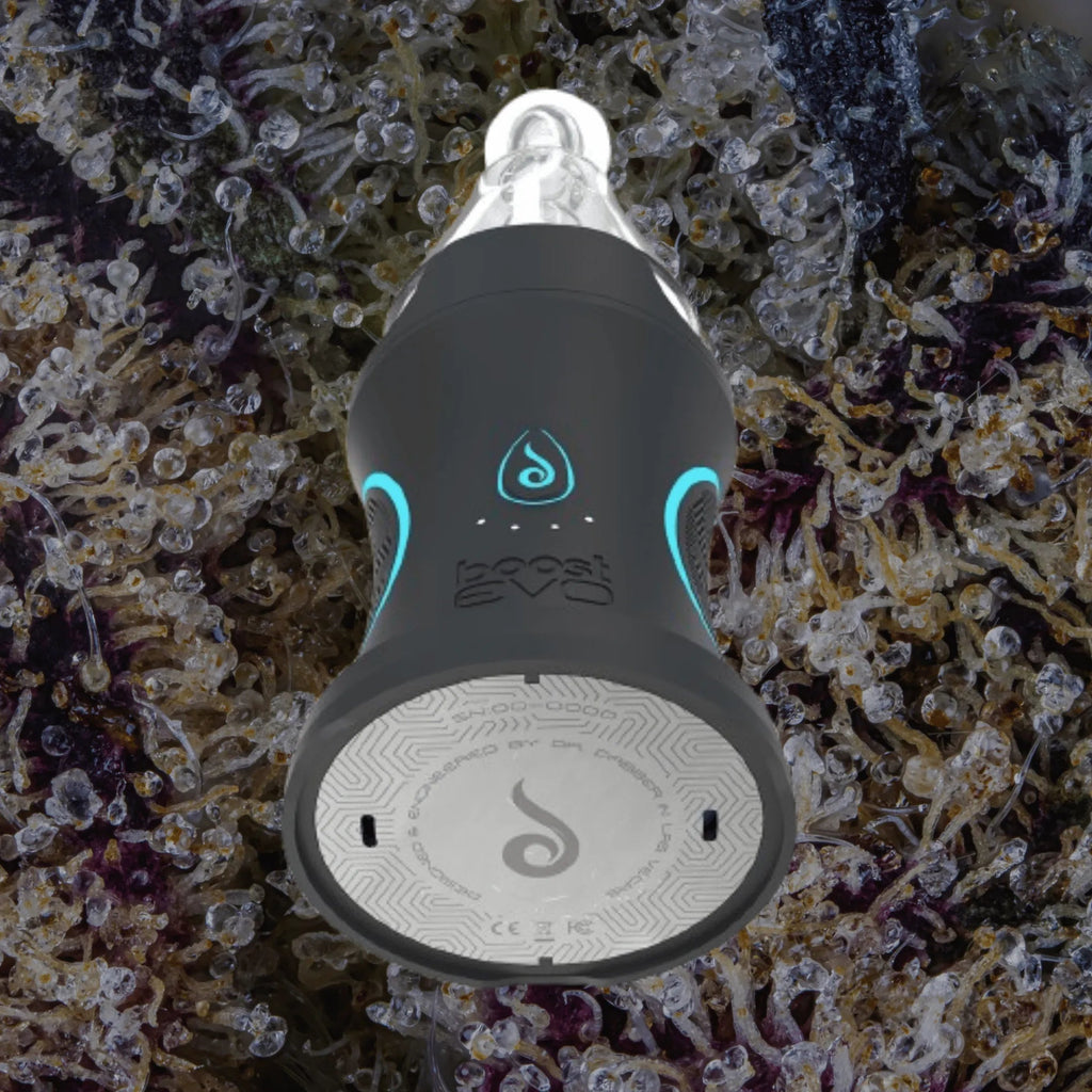 Dr. Dabber Boost Evo | Trichly