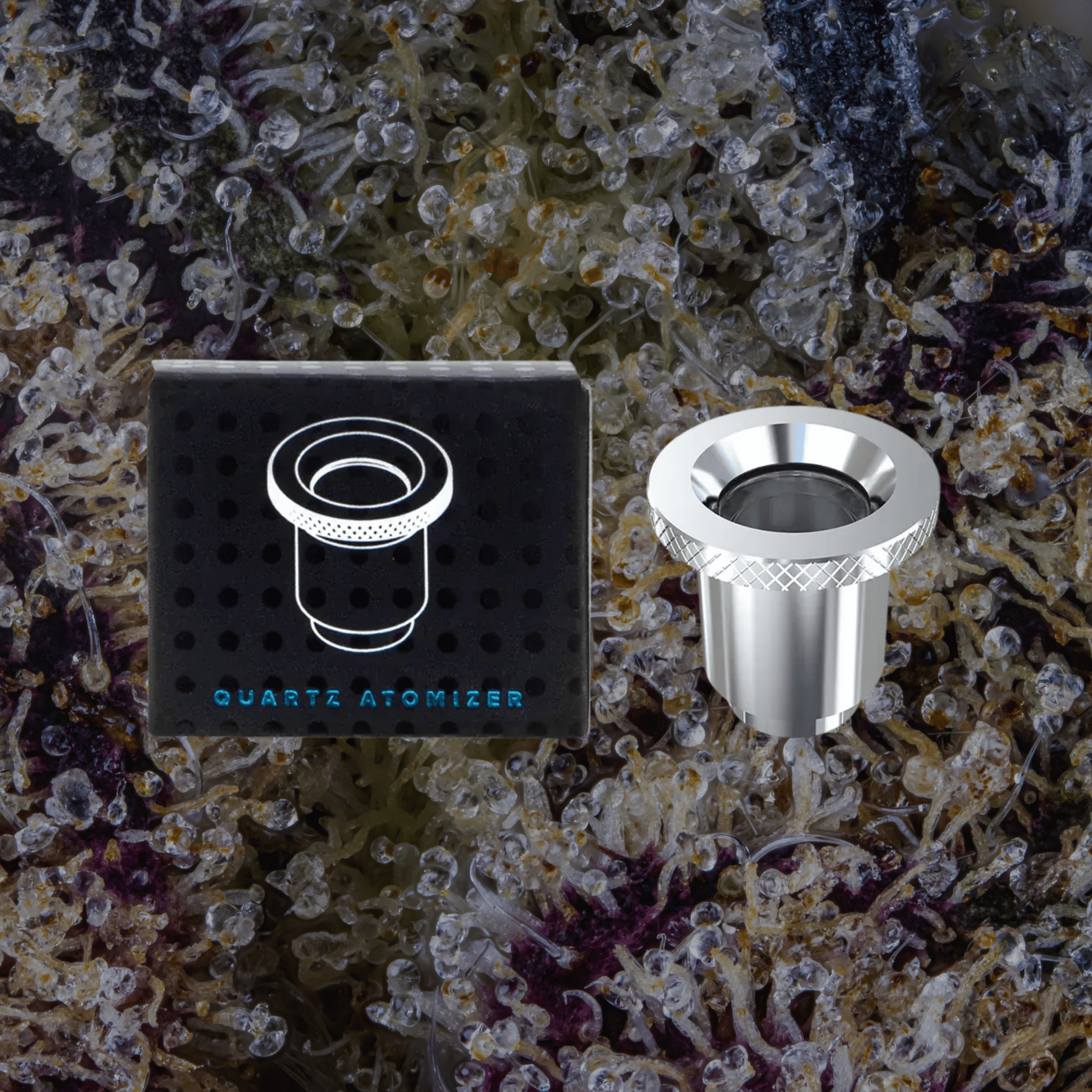 Dr. Dabber Boost Evo Atomizer Quartz | Trichly