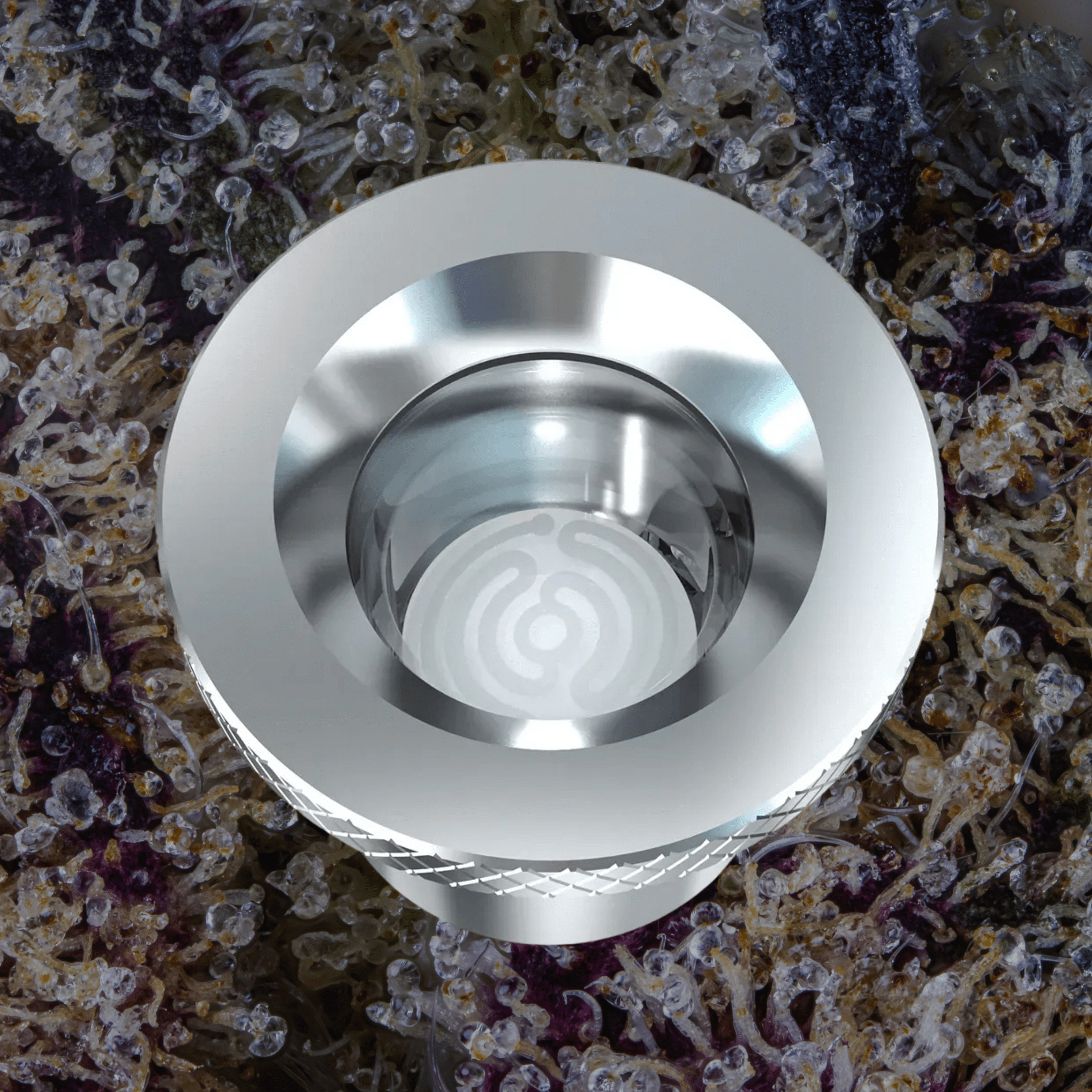 Dr. Dabber Boost Evo Atomizer Quartz | Trichly