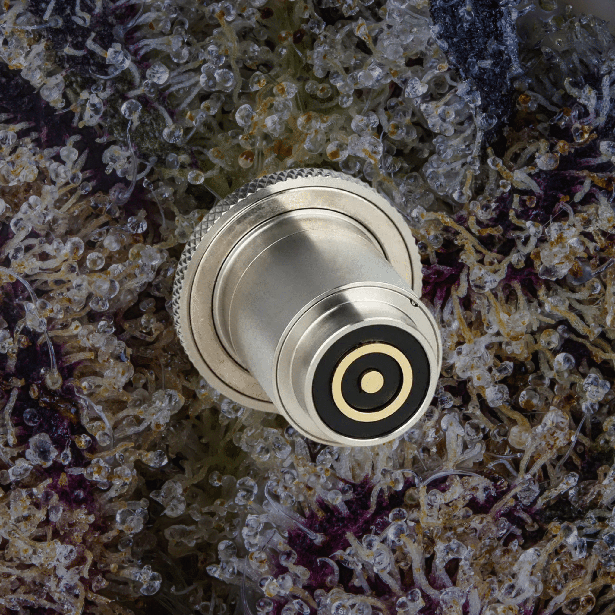 Dr. Dabber Boost Evo Atomizer Sapphire | Trichly