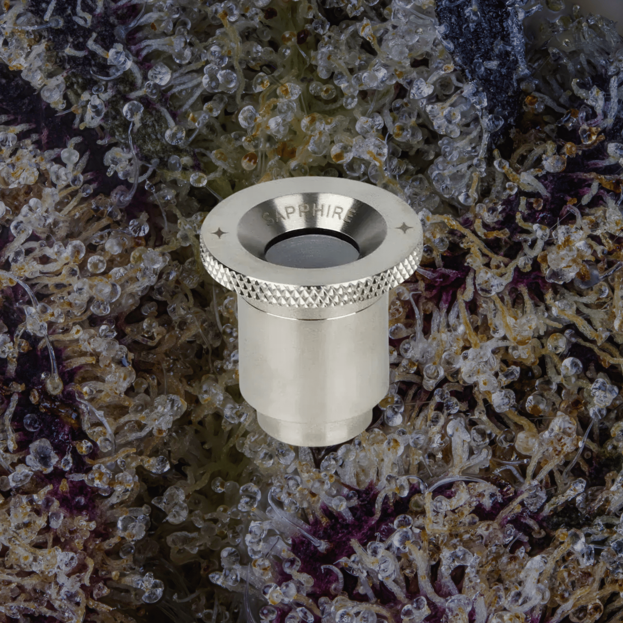 Dr. Dabber Boost Evo Atomizer Sapphire | Trichly