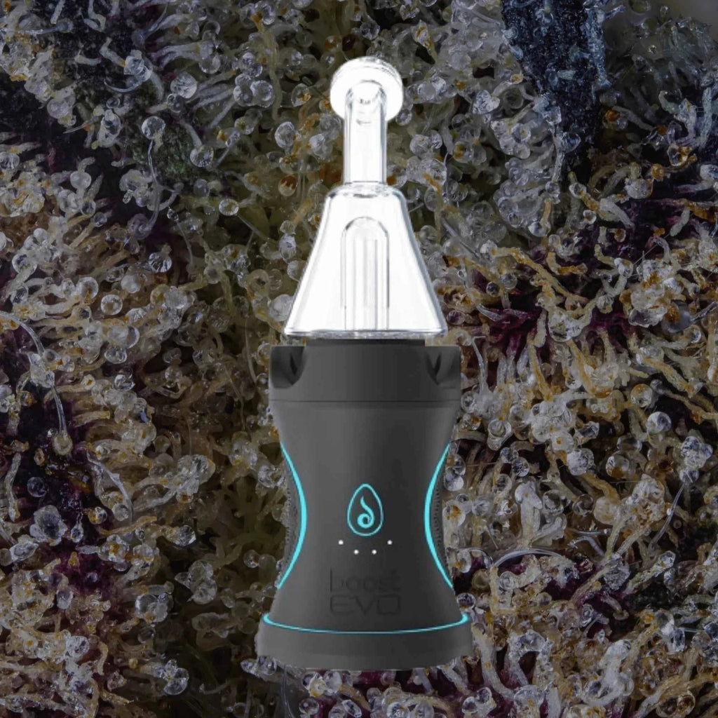 Dr. Dabber Boost Evo | Trichly