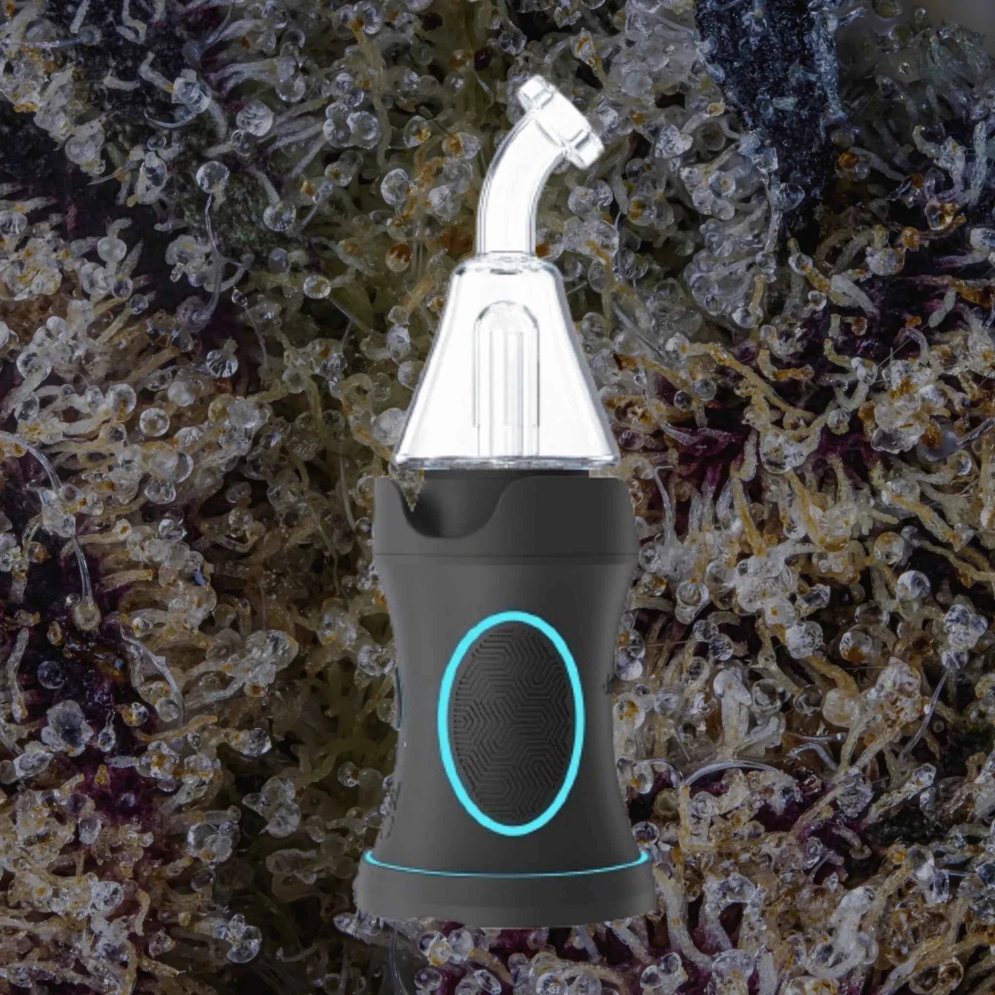 Dr. Dabber Boost Evo | Trichly