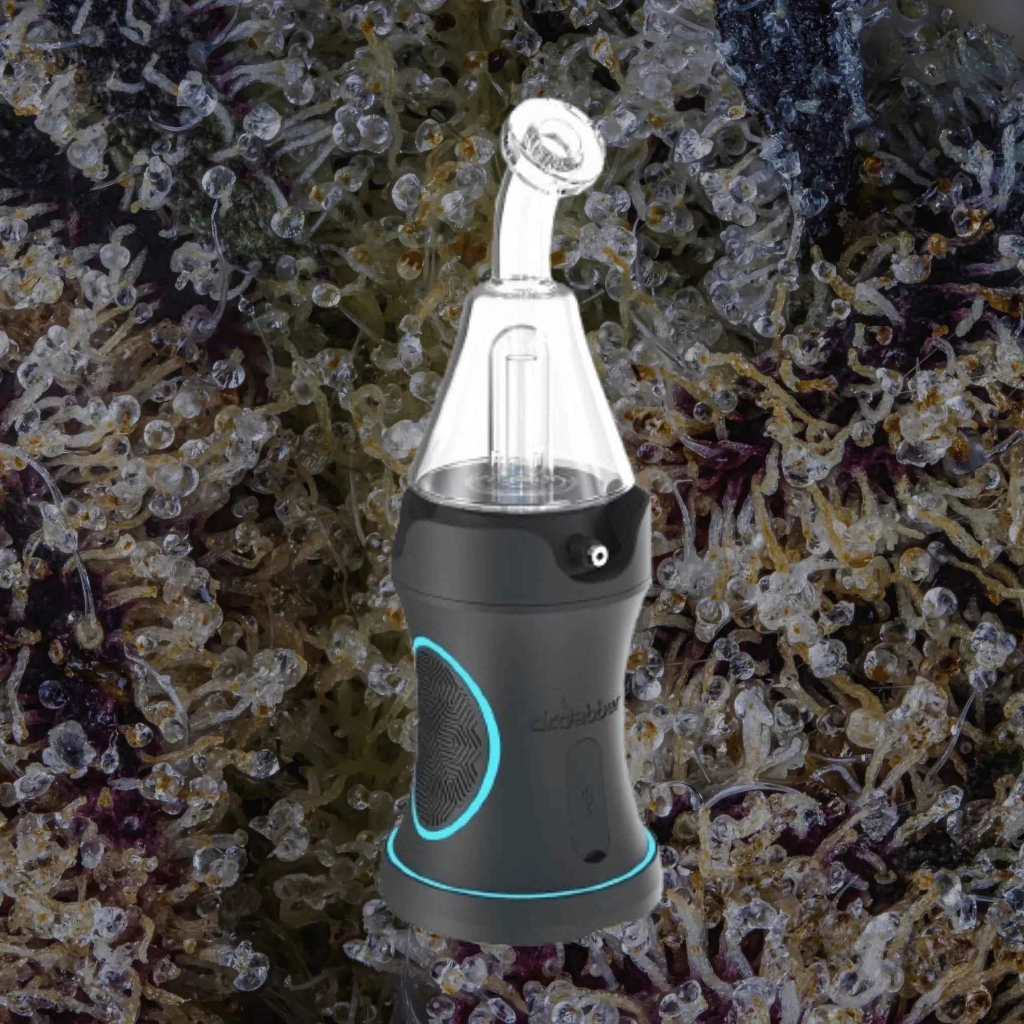 Dr. Dabber Boost Evo | Trichly