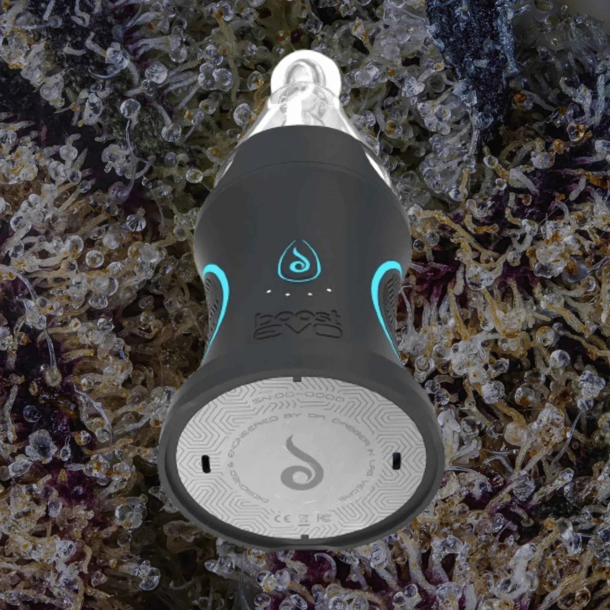 Dr. Dabber Boost Evo | Trichly