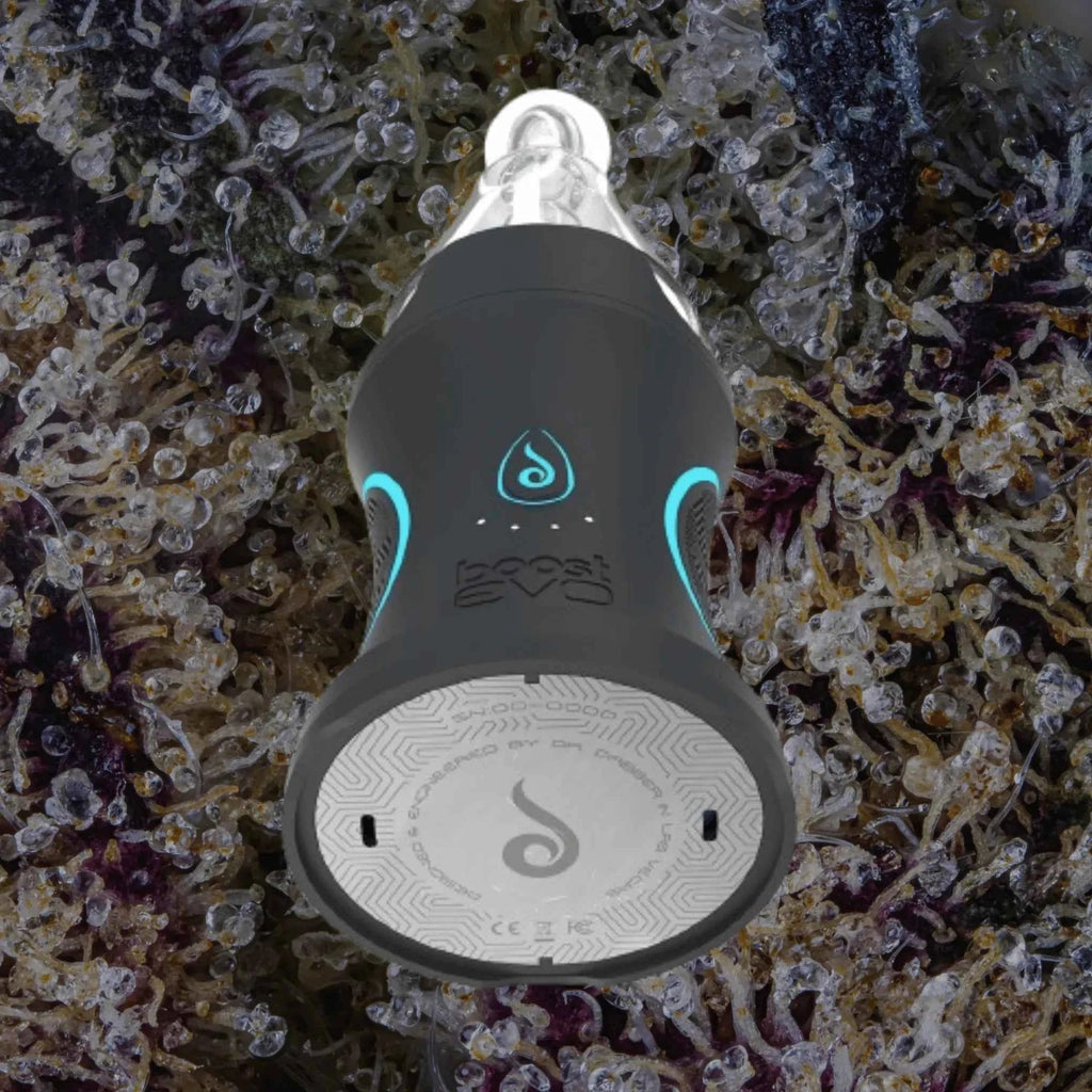 Dr. Dabber Boost Evo | Trichly