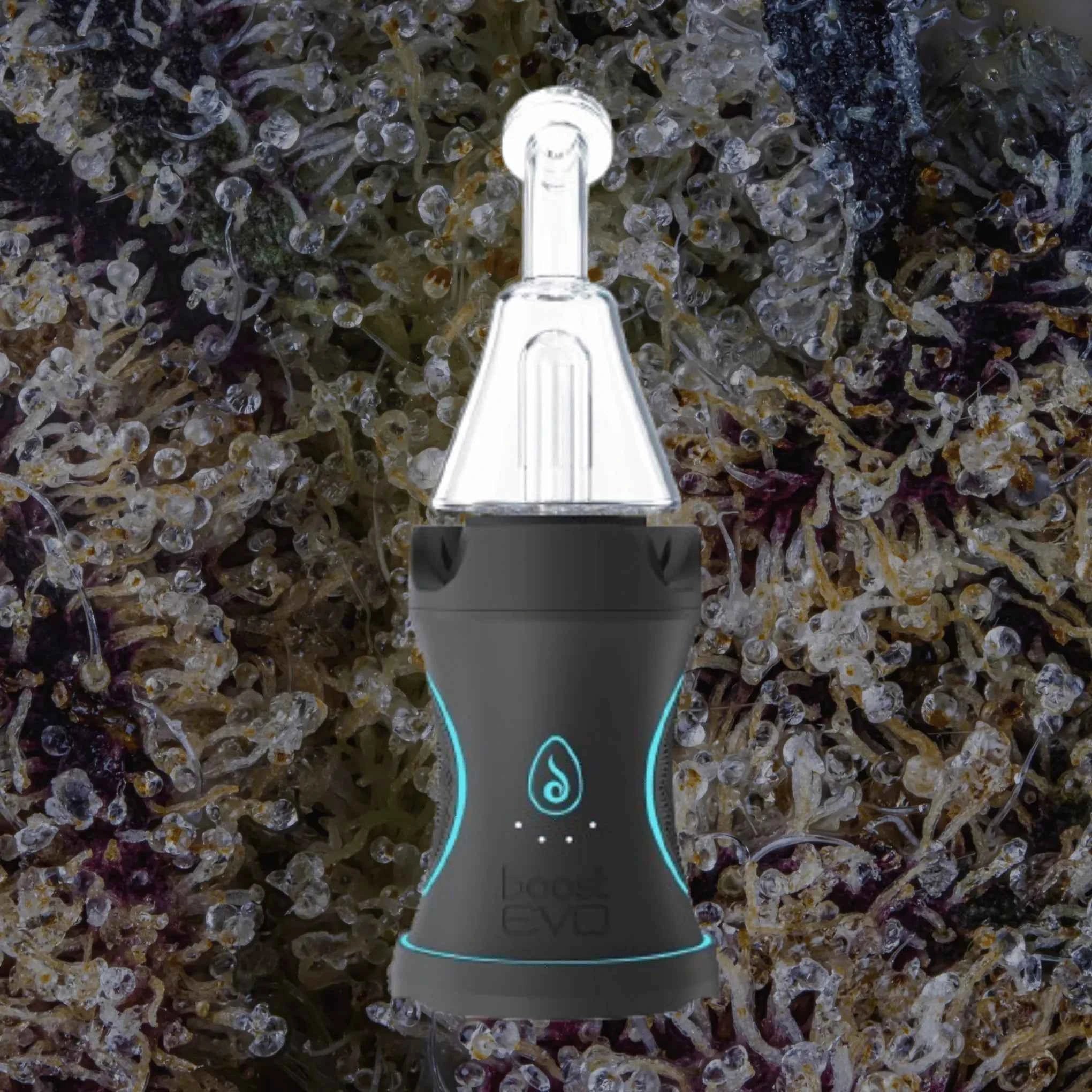 Dr. Dabber Boost Evo | Trichly