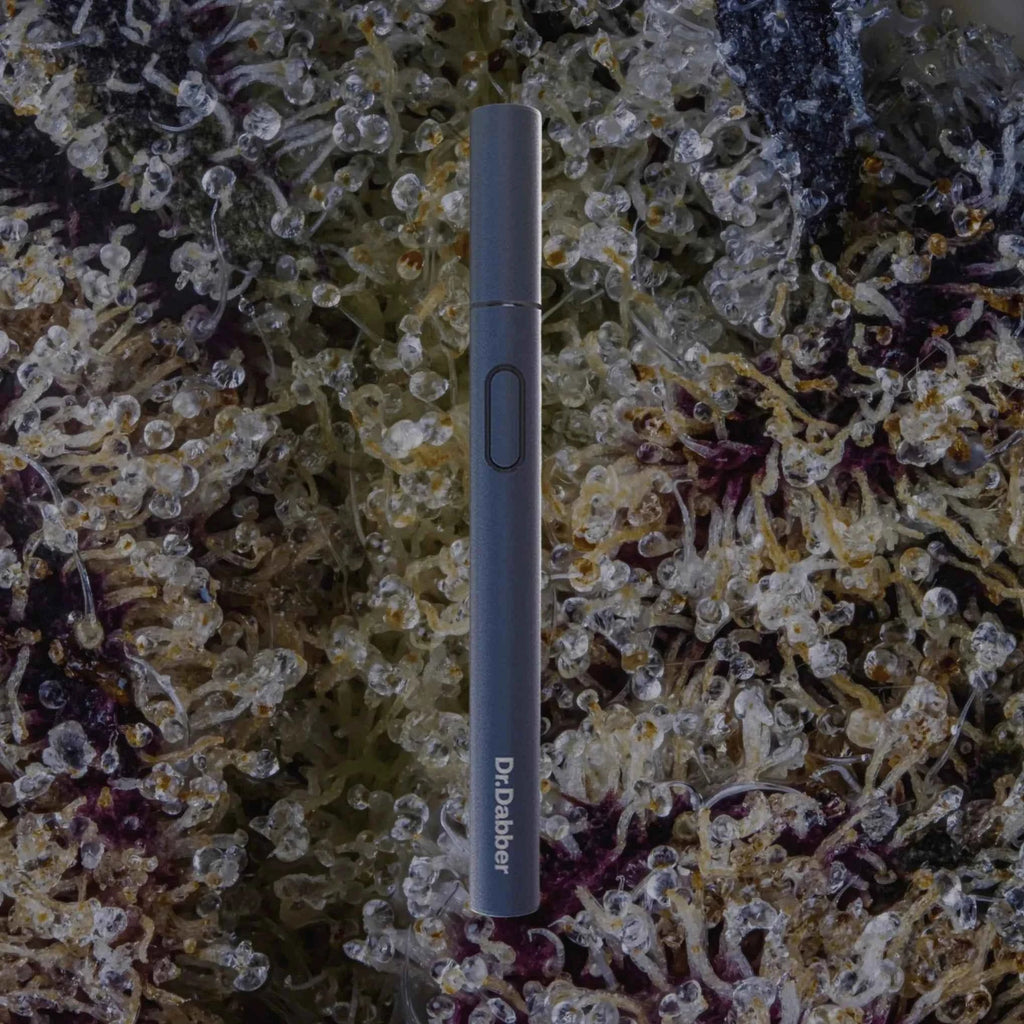 Dr. Dabber Drop Hot Knife | Trichly