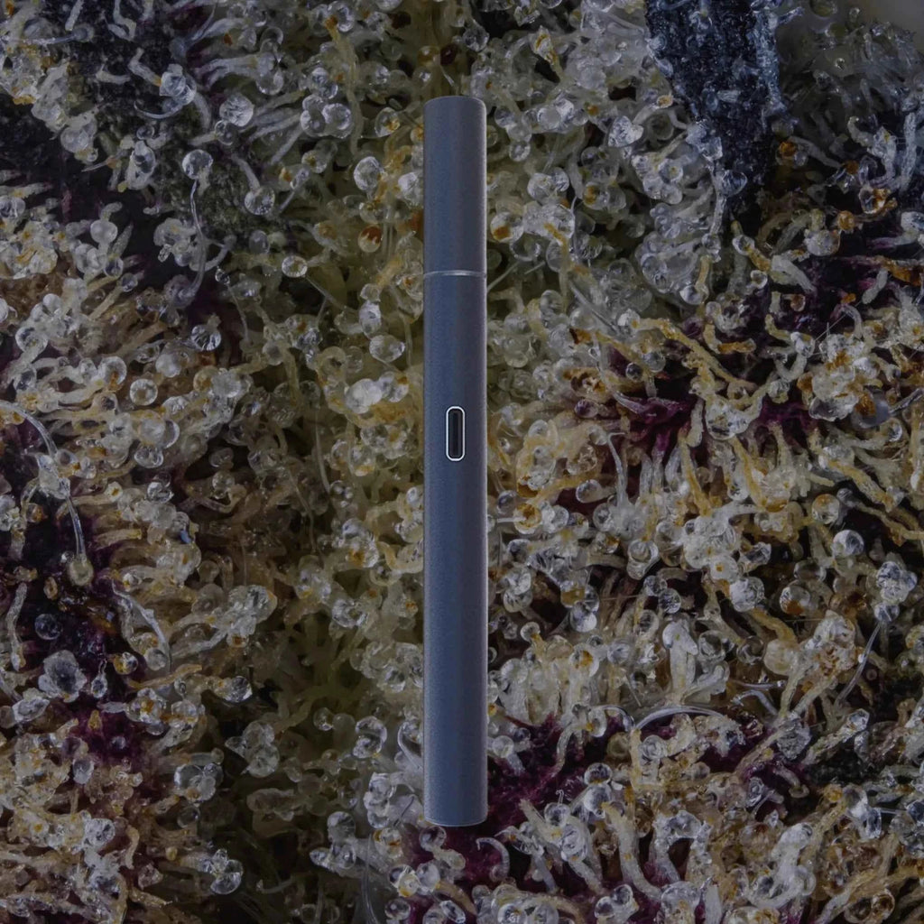 Dr. Dabber Drop Hot Knife | Trichly