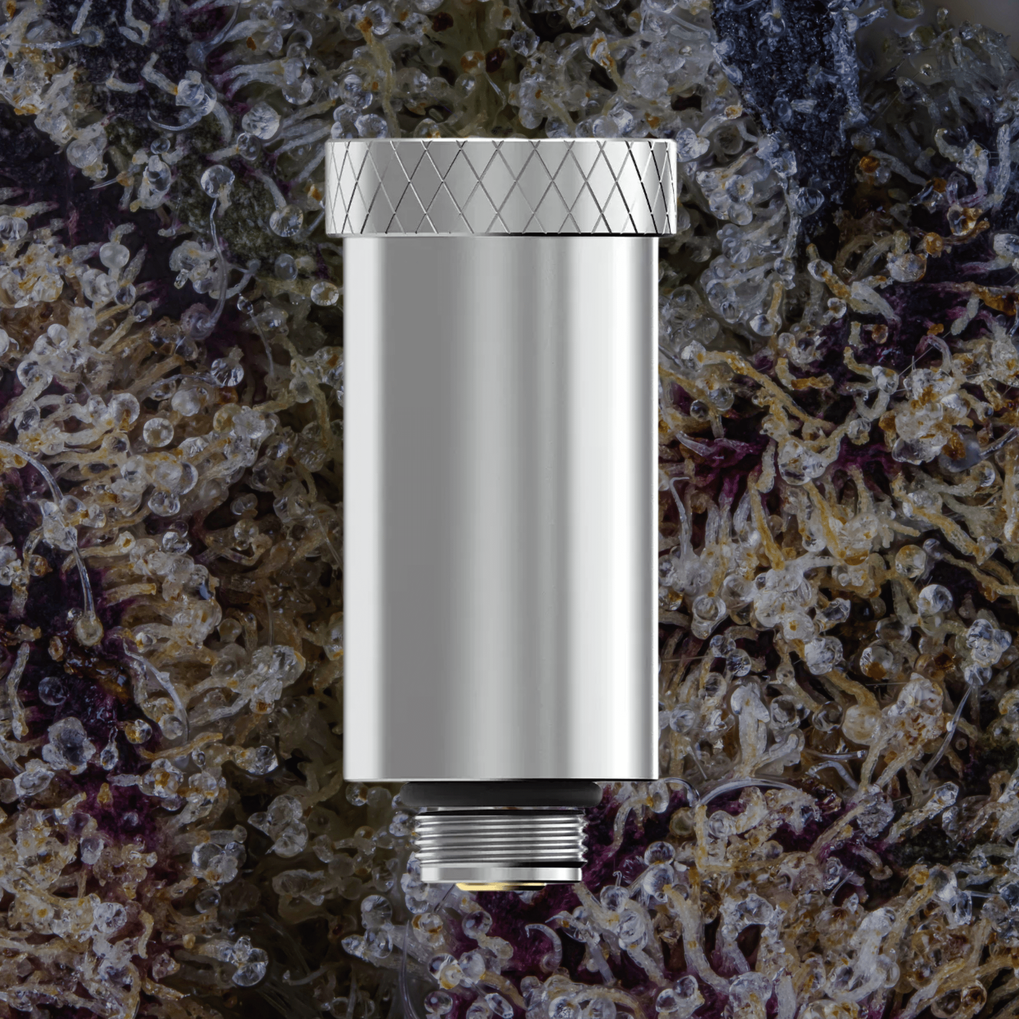 Dr Dabber Ghost 2 e - Chamber | Trichly