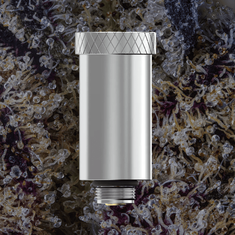 Dr Dabber Ghost 2 e - Chamber | Trichly