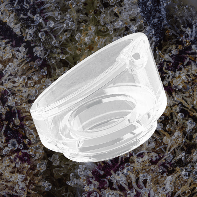 Dr Dabber Ghost 2 Glass Mouthpiece | Trichly