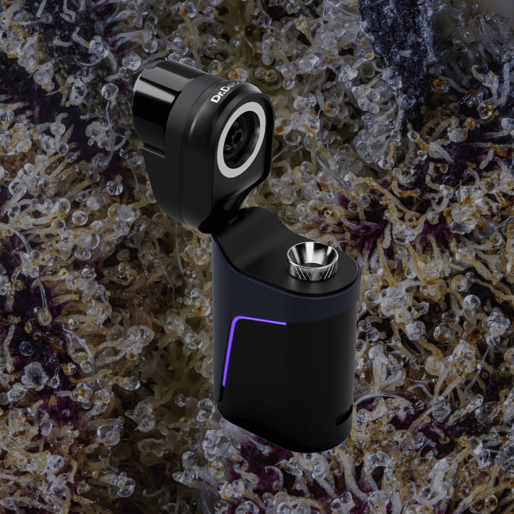 Dr. Dabber Ghost 2 | Trichly