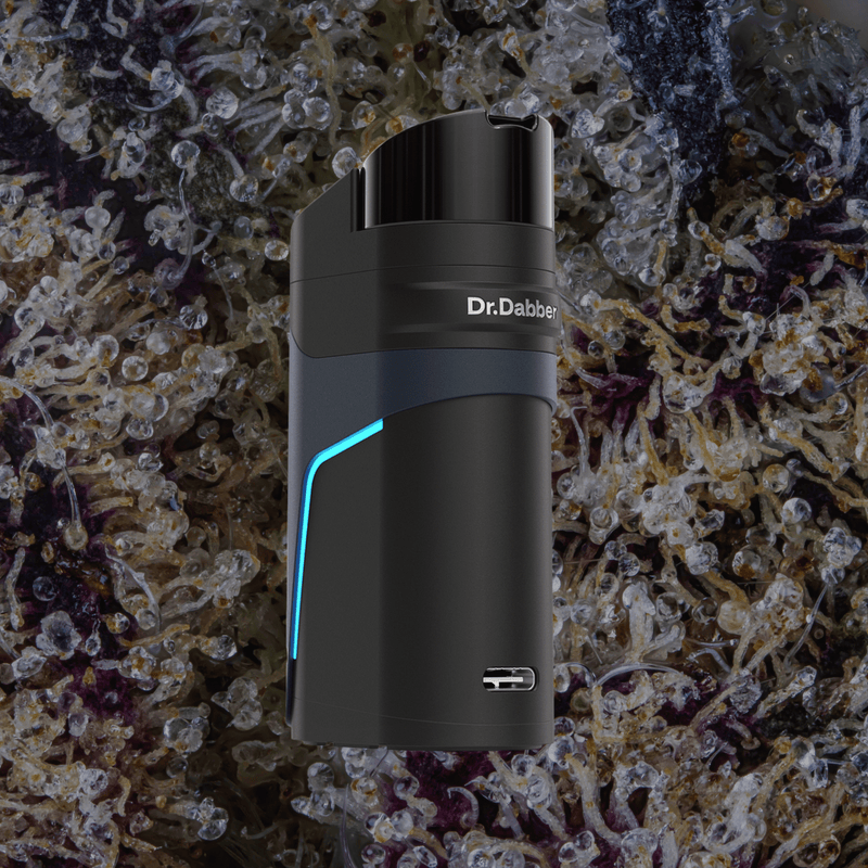 Dr. Dabber Ghost 2 | Trichly