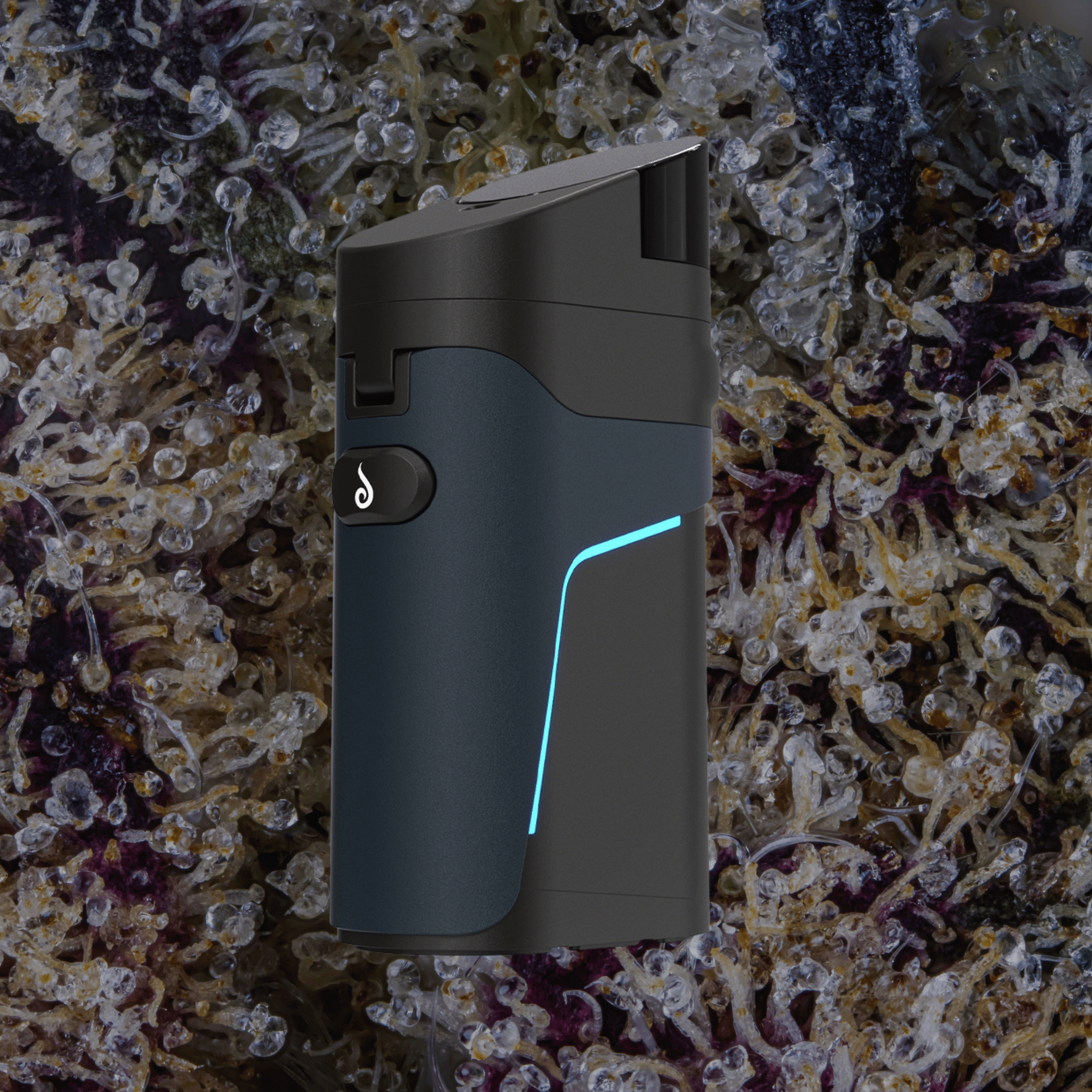 Dr. Dabber Ghost 2 | Trichly