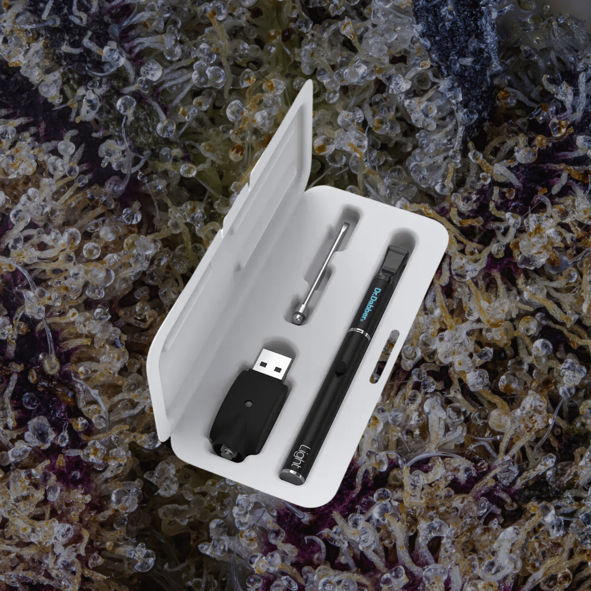 Dr. Dabber Light | Trichly