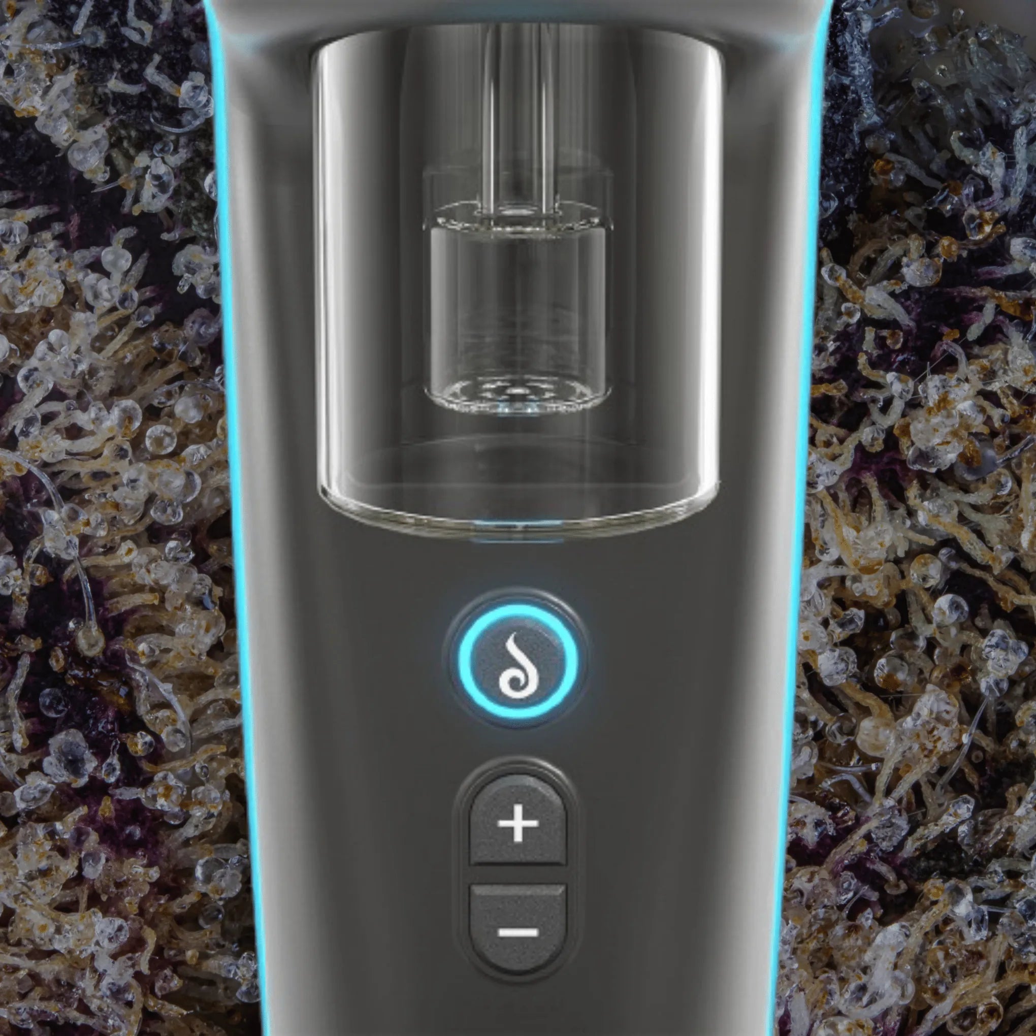 Dr. Dabber Switch 2 | Trichly