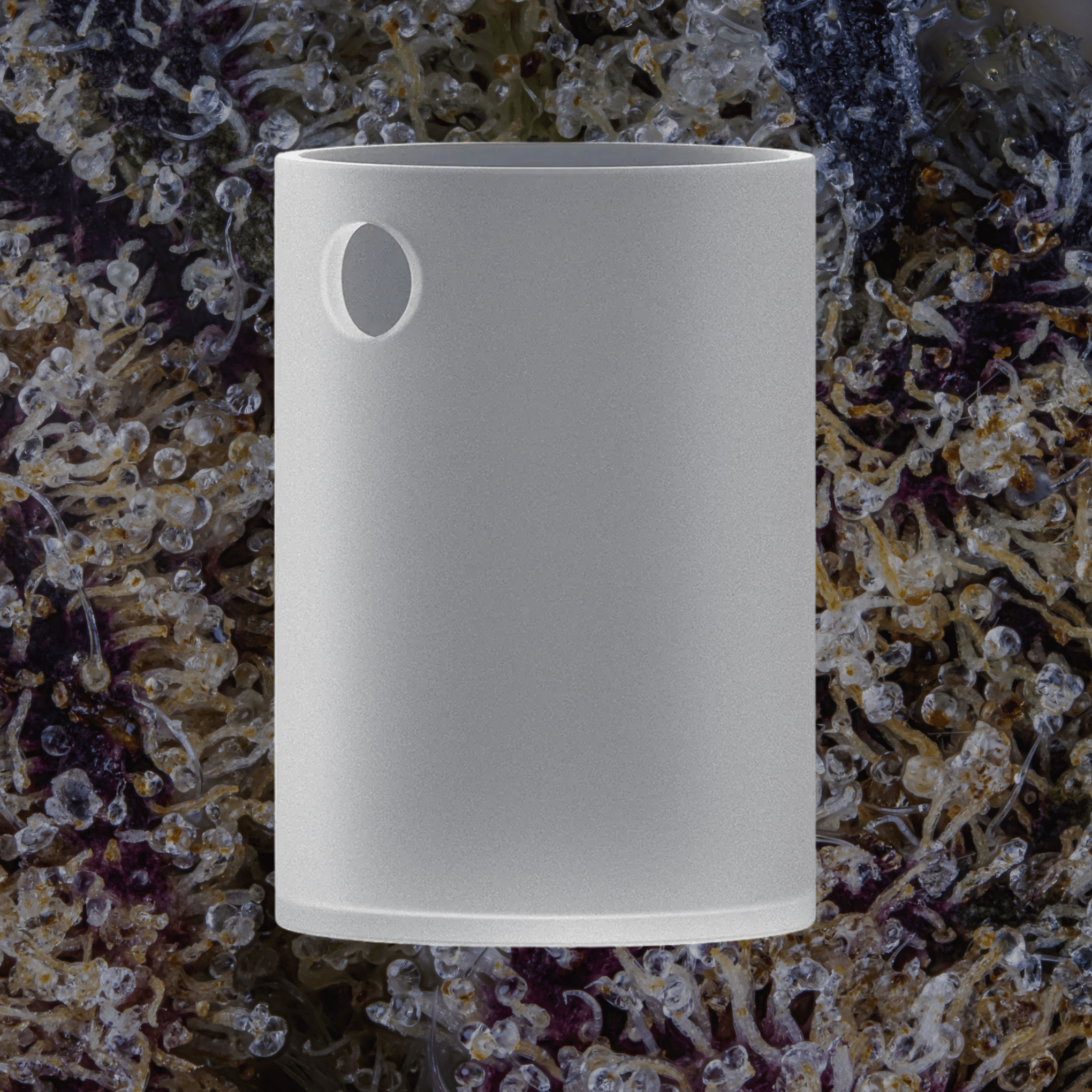 Dr. Dabber Switch 2 Induction Cups Quartz | Trichly