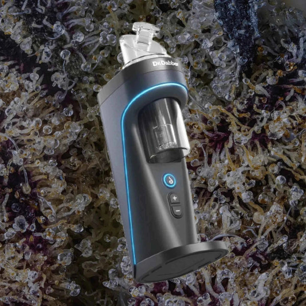 Dr. Dabber Switch 2 | Trichly