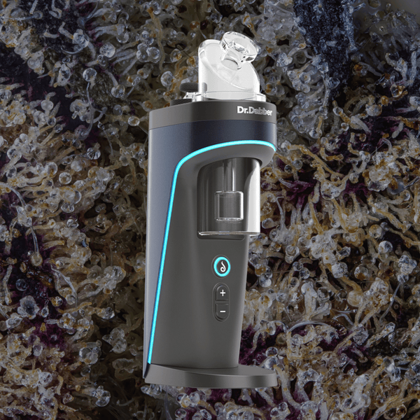 Dr. Dabber Switch 2 | Trichly