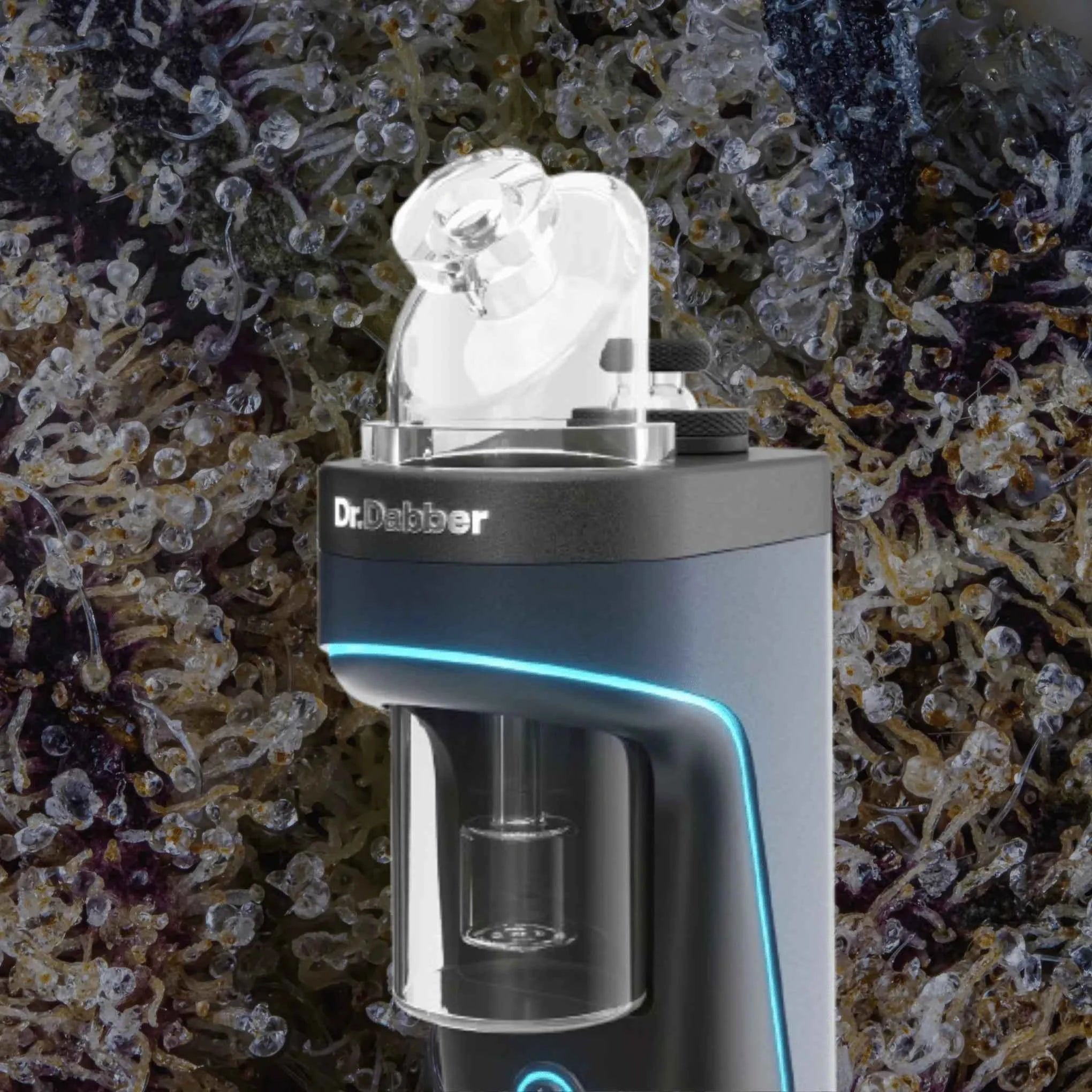 Dr. Dabber Switch 2 | Trichly