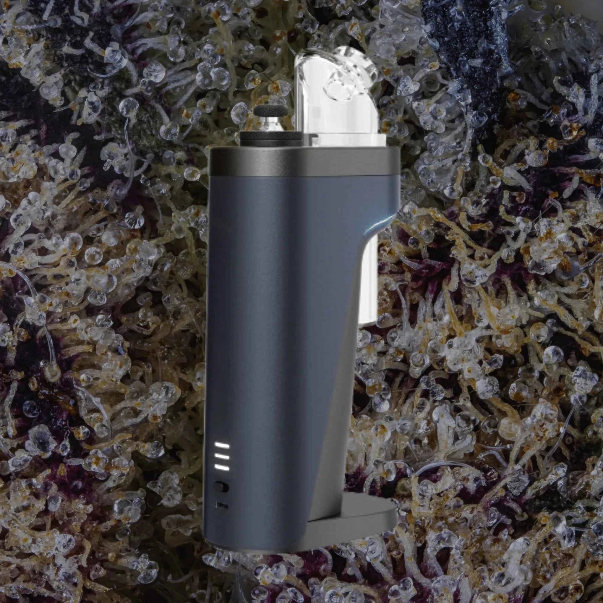 Dr. Dabber Switch 2 | Trichly