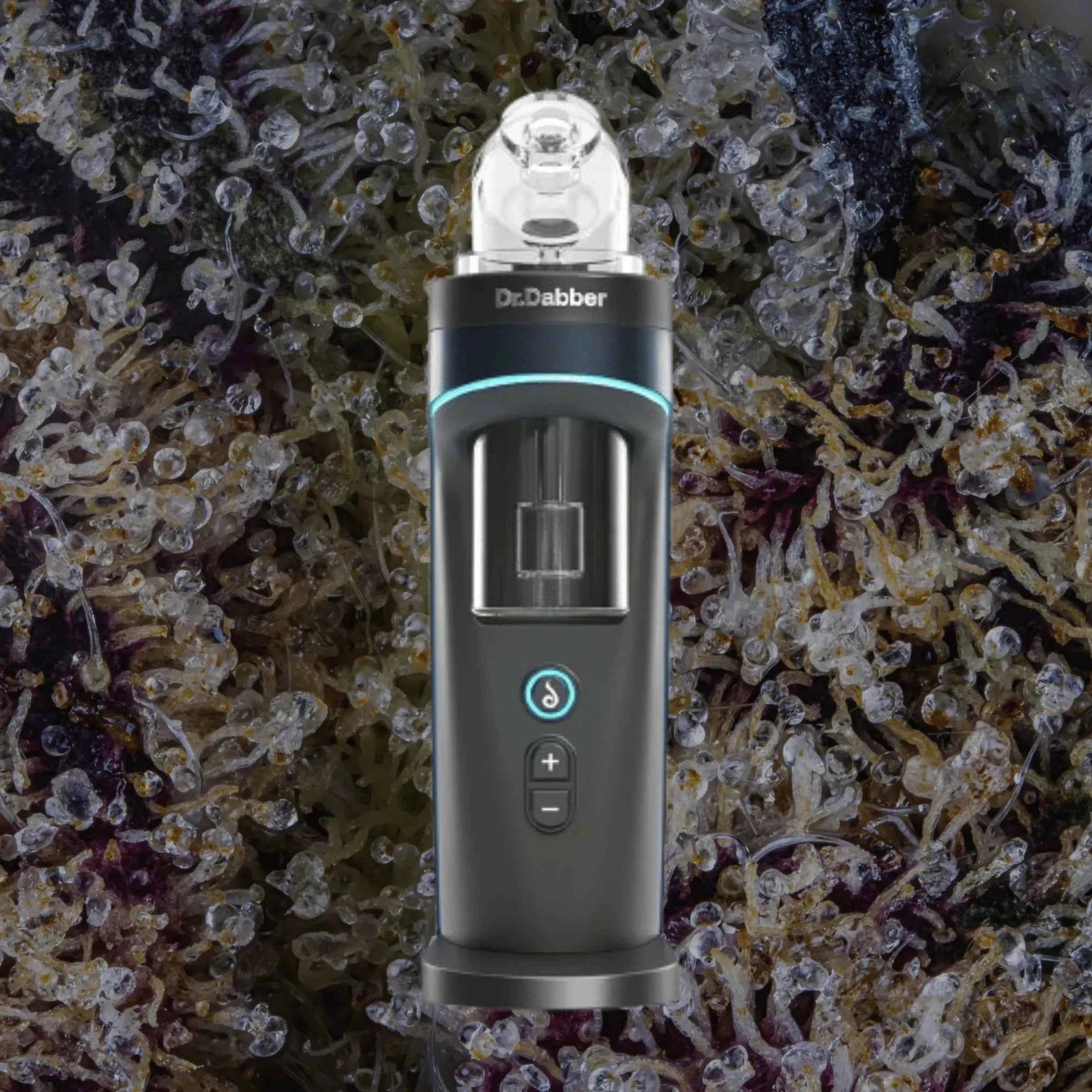 Dr. Dabber Switch 2 | Trichly